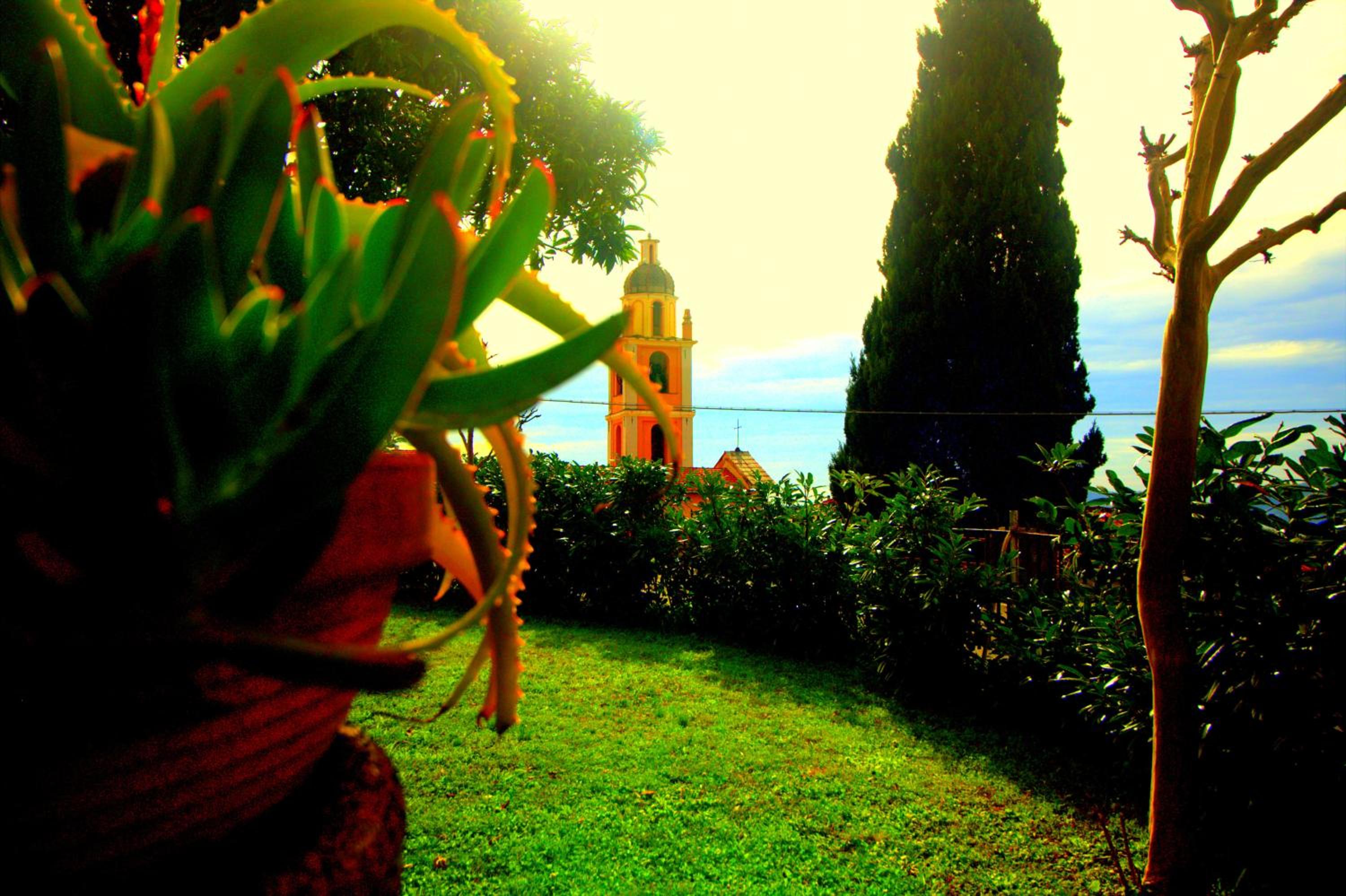 I LIMONI view 2