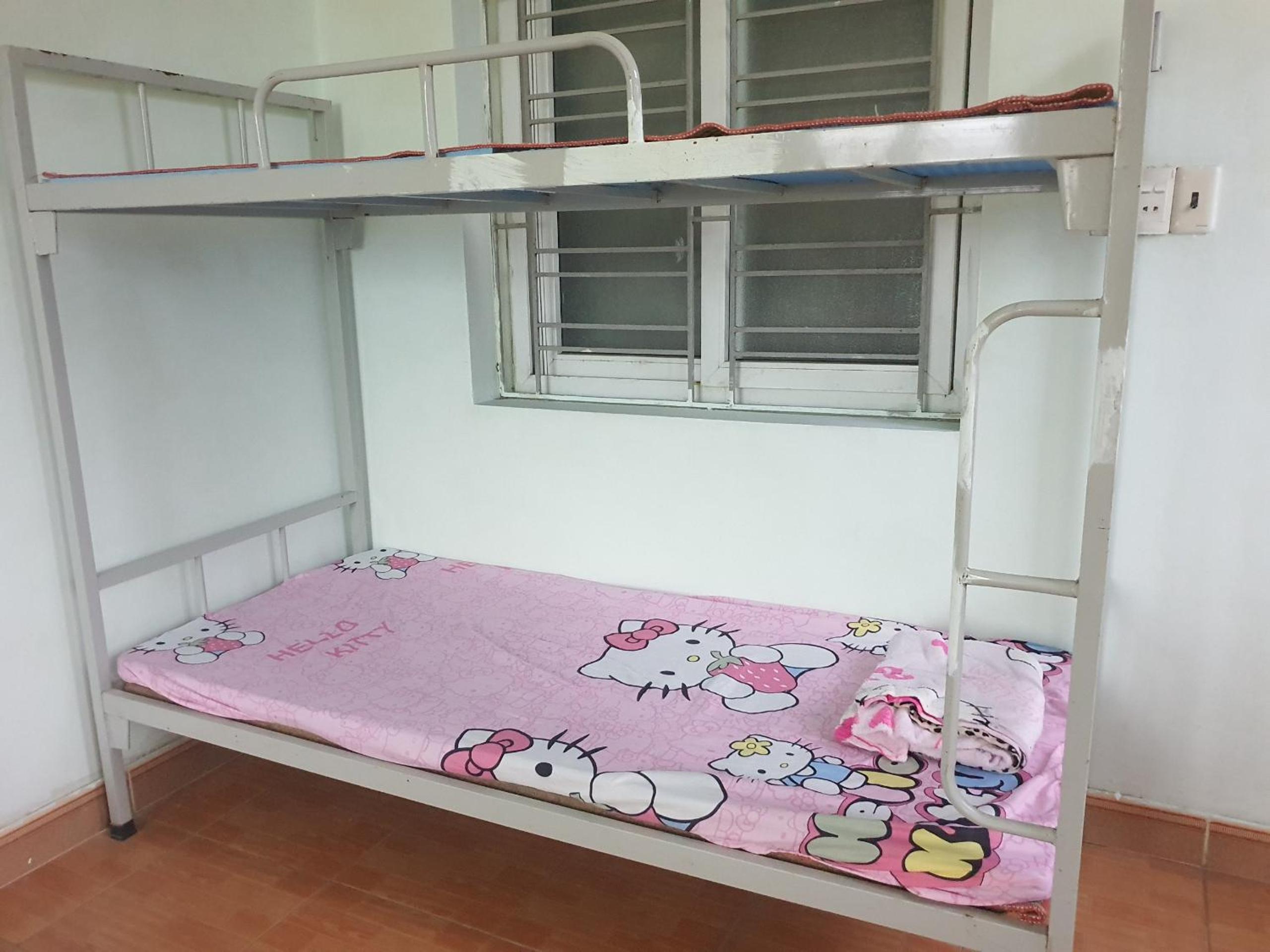 Bee Hostel