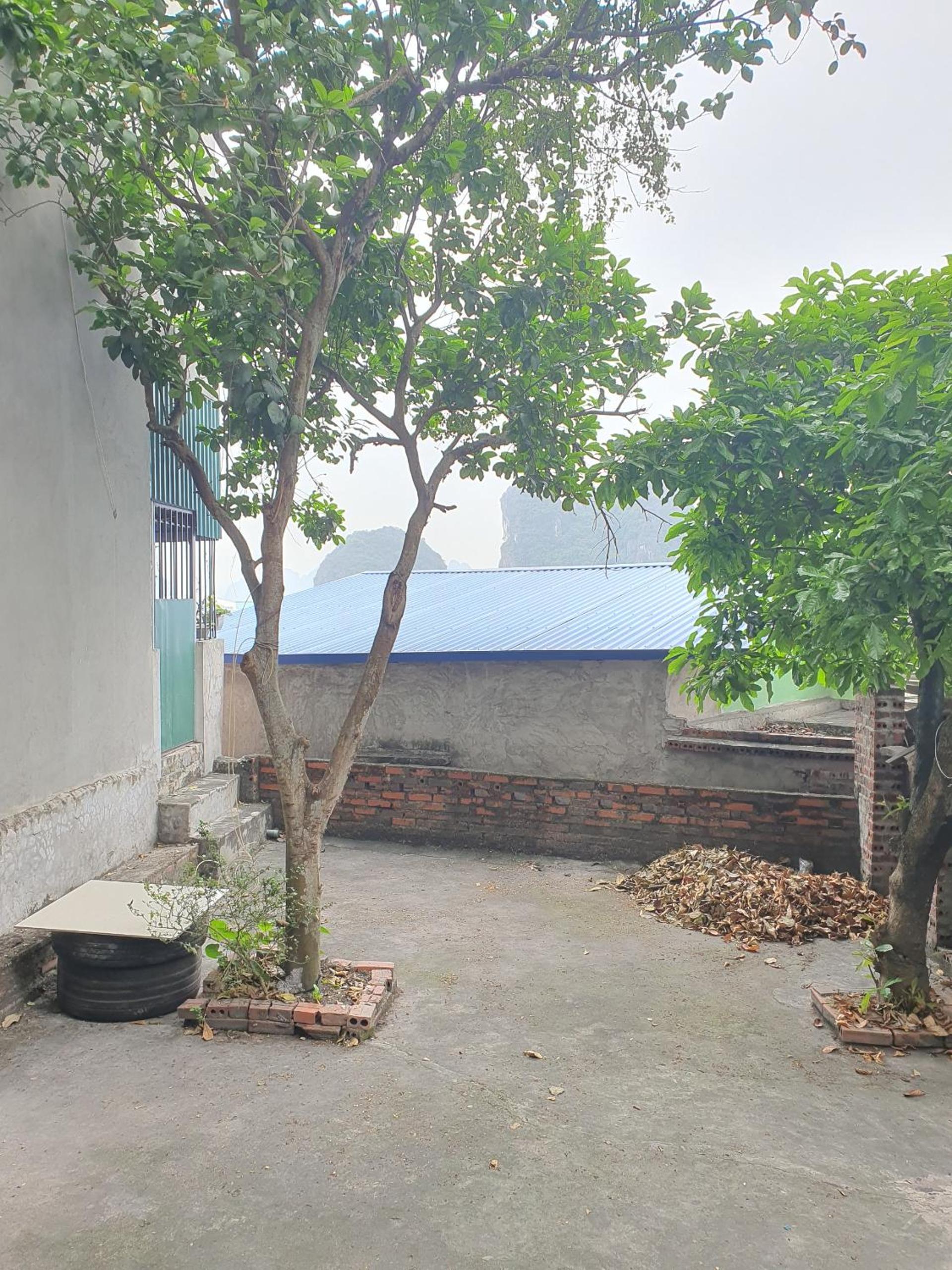 Bee Hostel