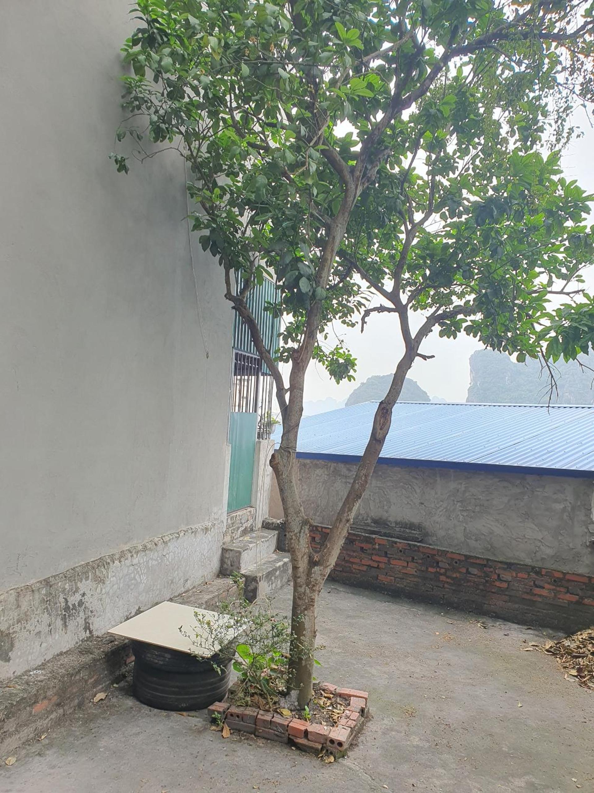 Bee Hostel
