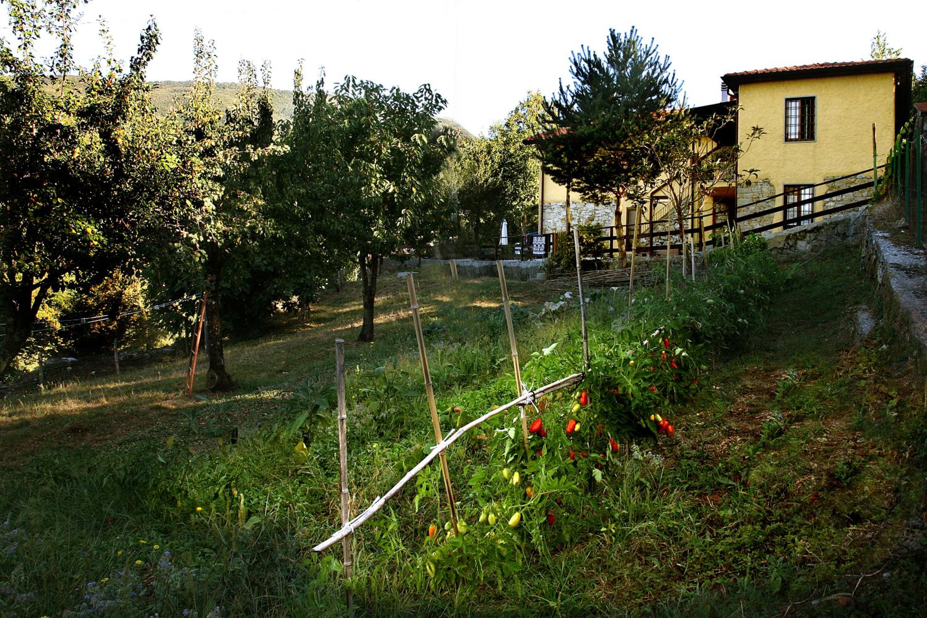 B&B Podere Bramapane