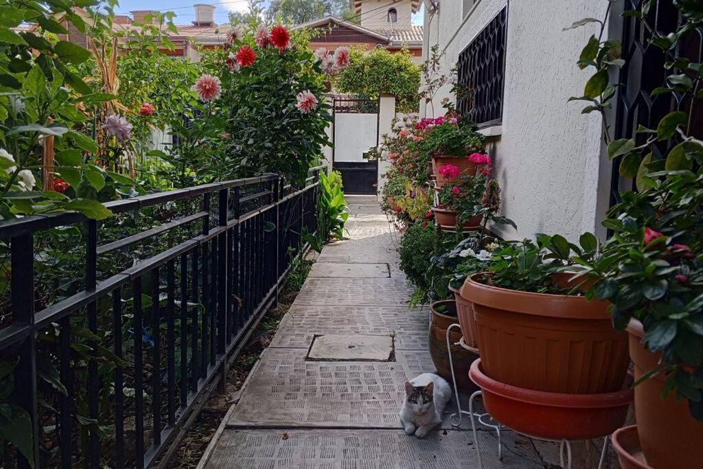 Central and quiet apartment in Cochabamba