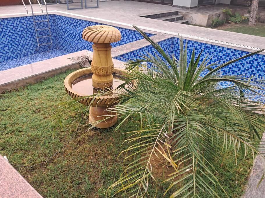 Photo 19