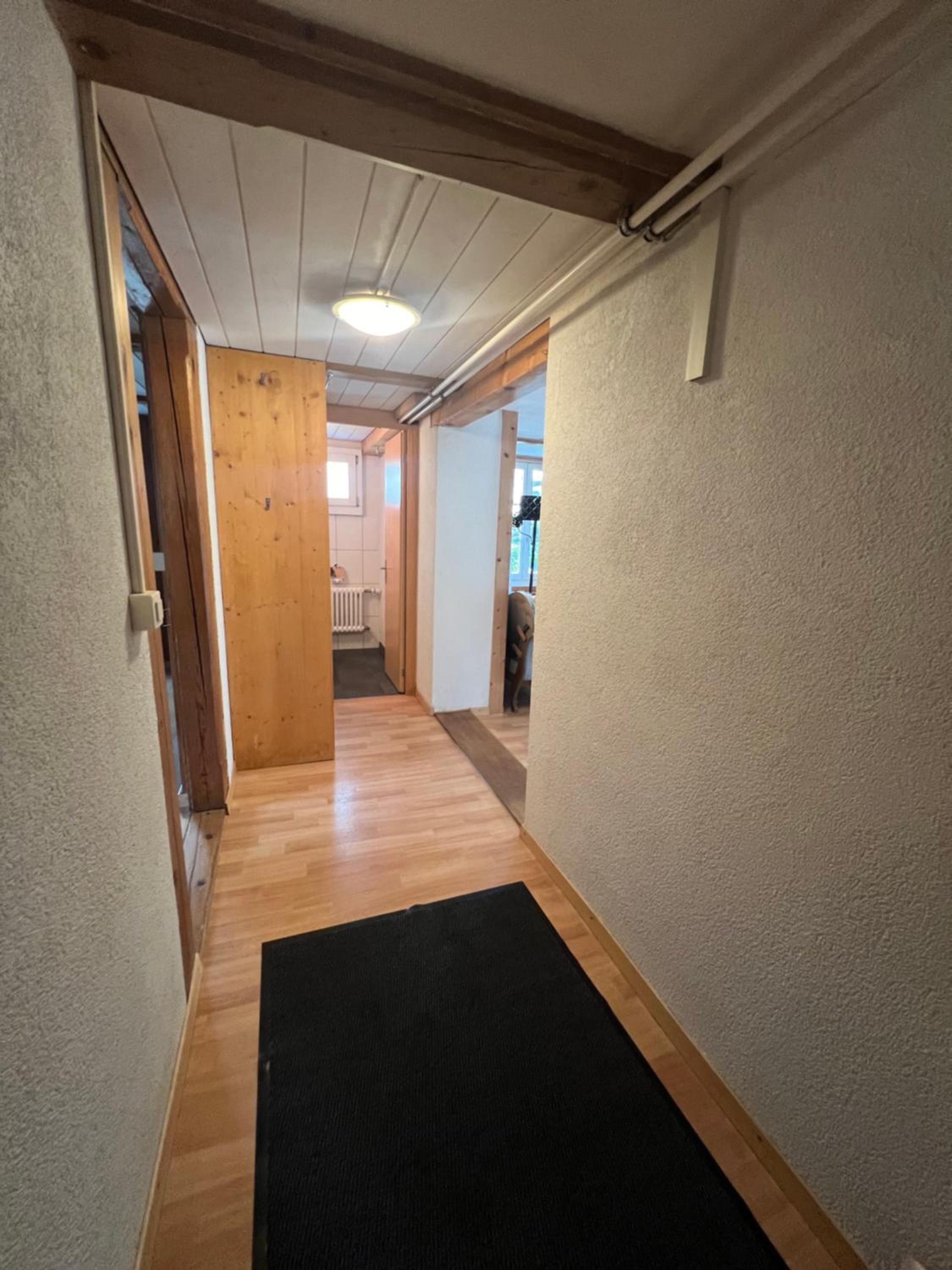 Apartment Deer