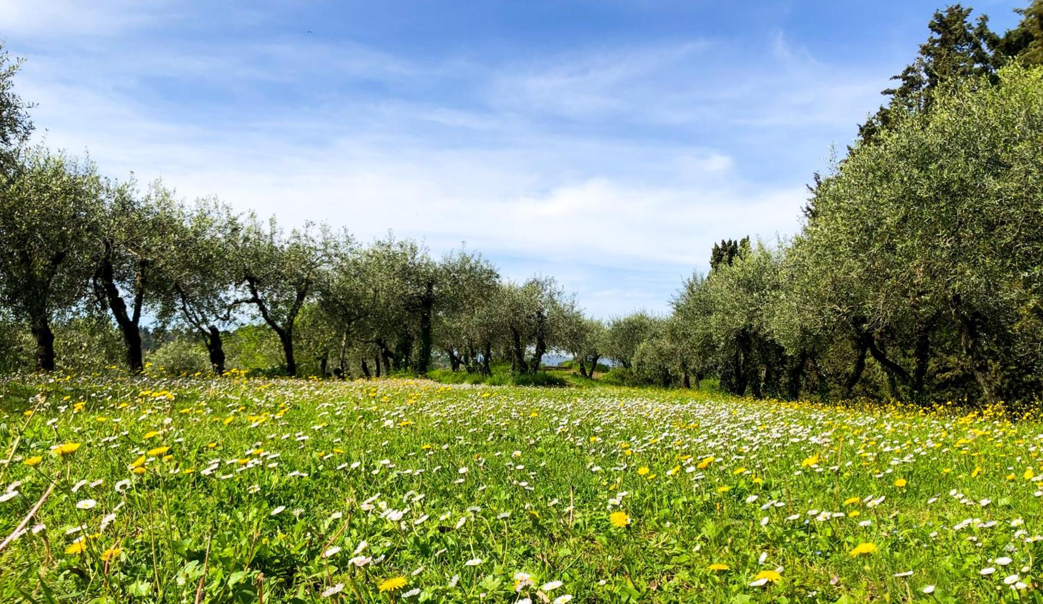 La Tonnaia