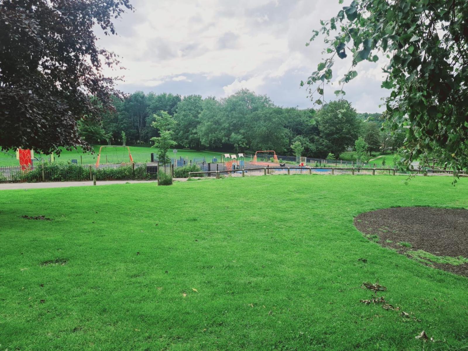 Photo 41