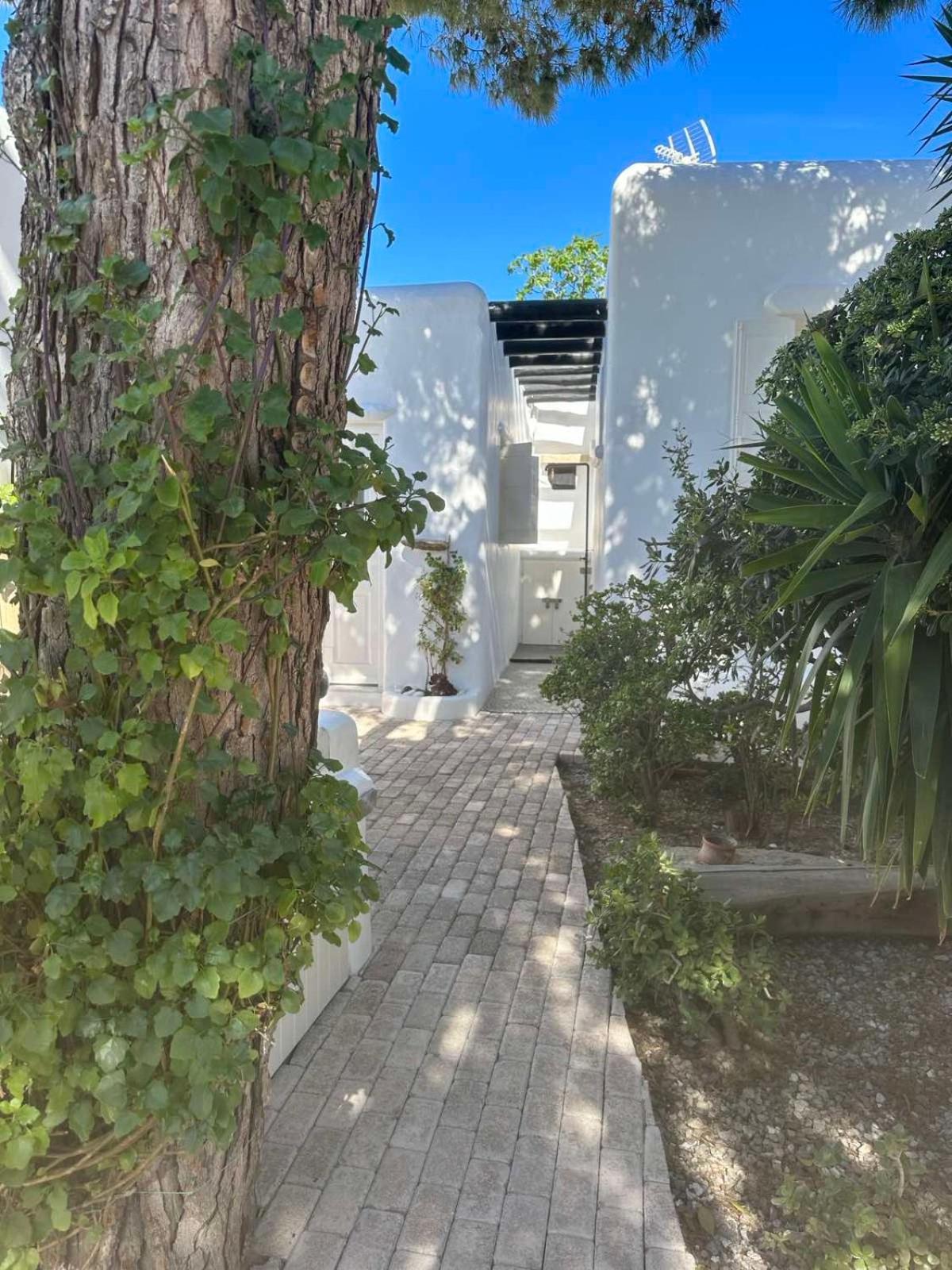 Cassaris Mykonos