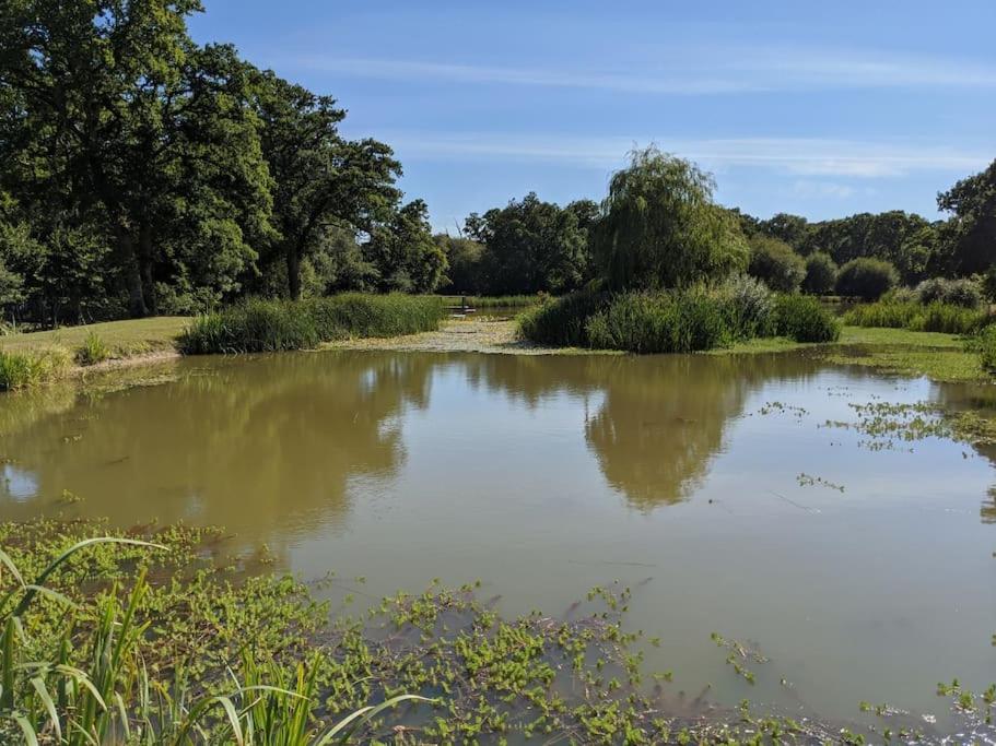 The Barn New Forest Free Paddle boarding & free Zip wire.