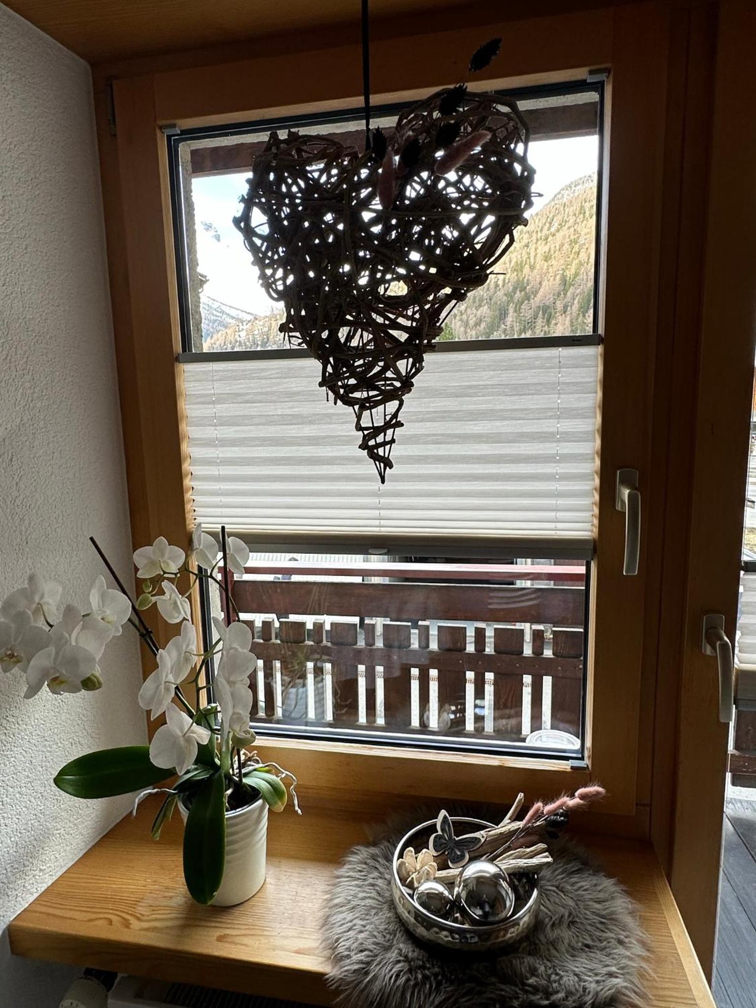 Apartment Bergfreude