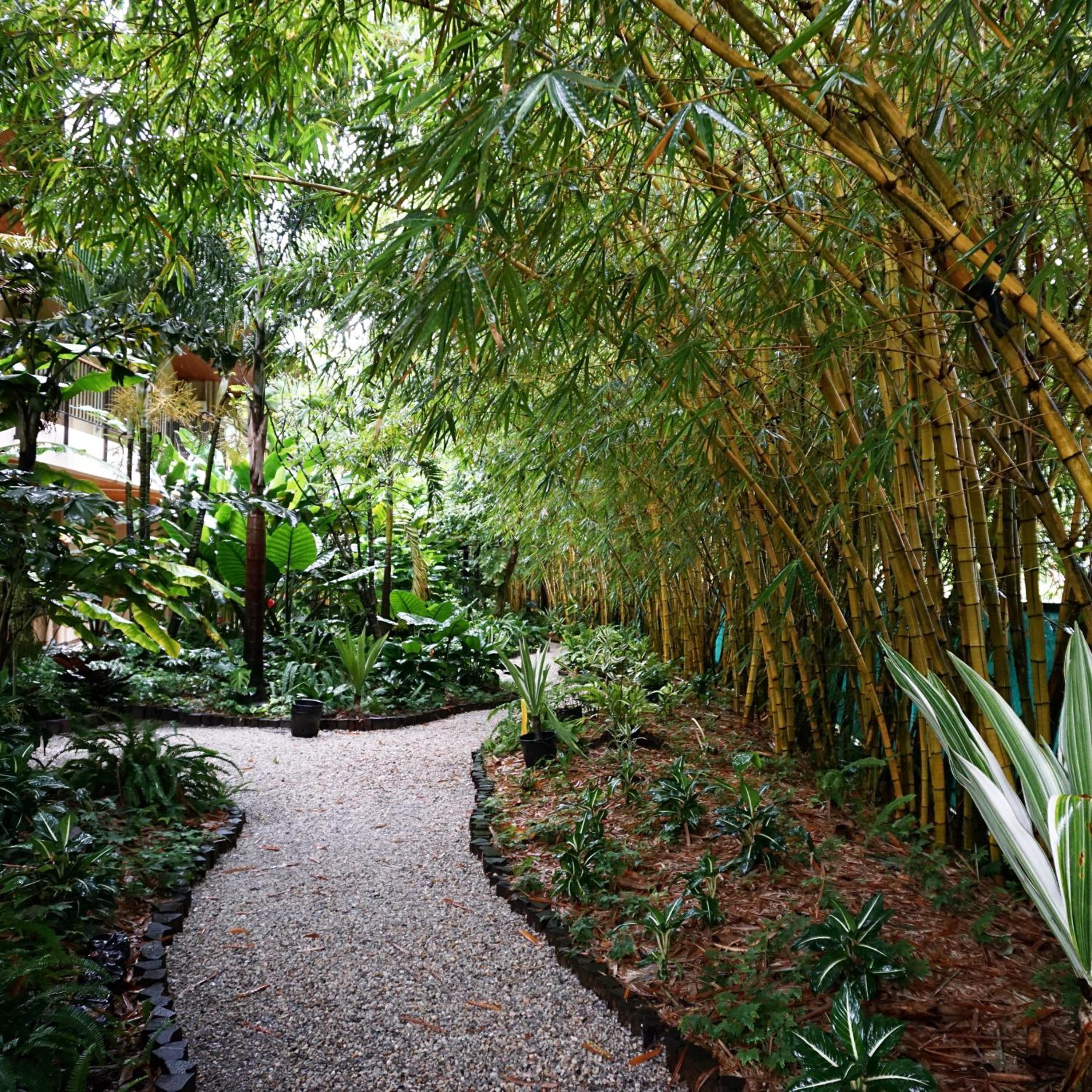 Jacana Amazon Wellness Resort