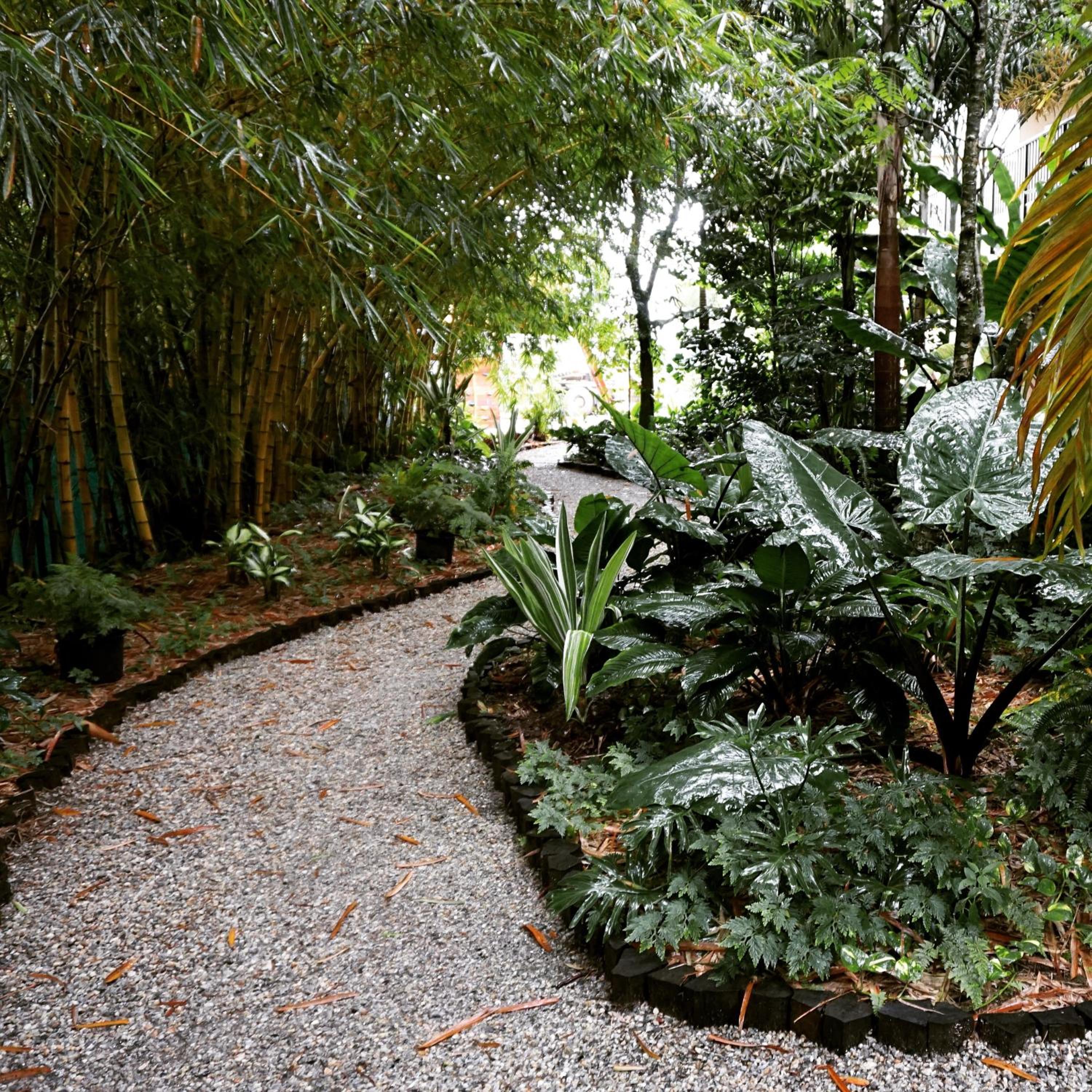 Jacana Amazon Wellness Resort