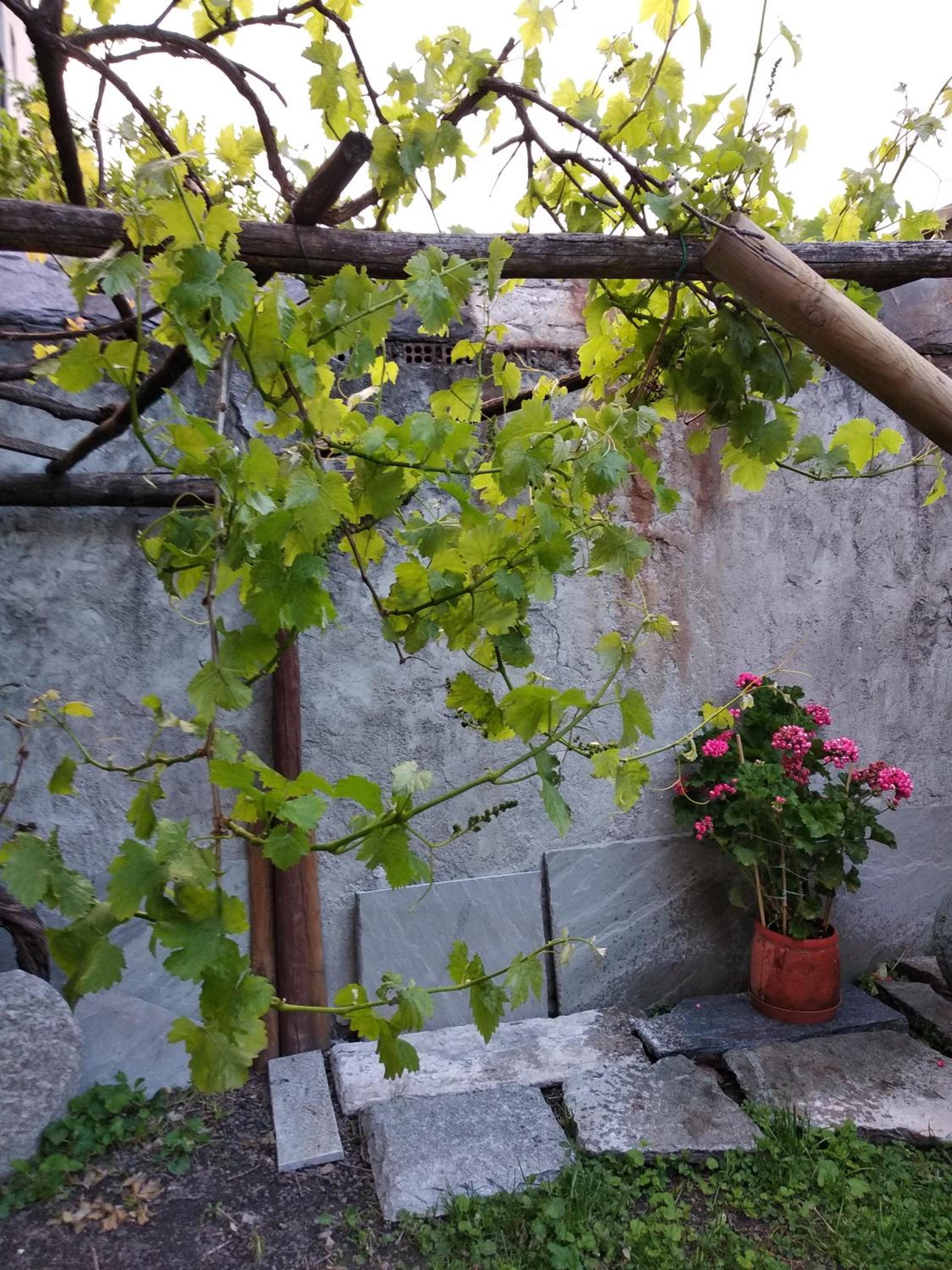 Maison Soleil - Il Giardino - Affitti Brevi Italia view 5