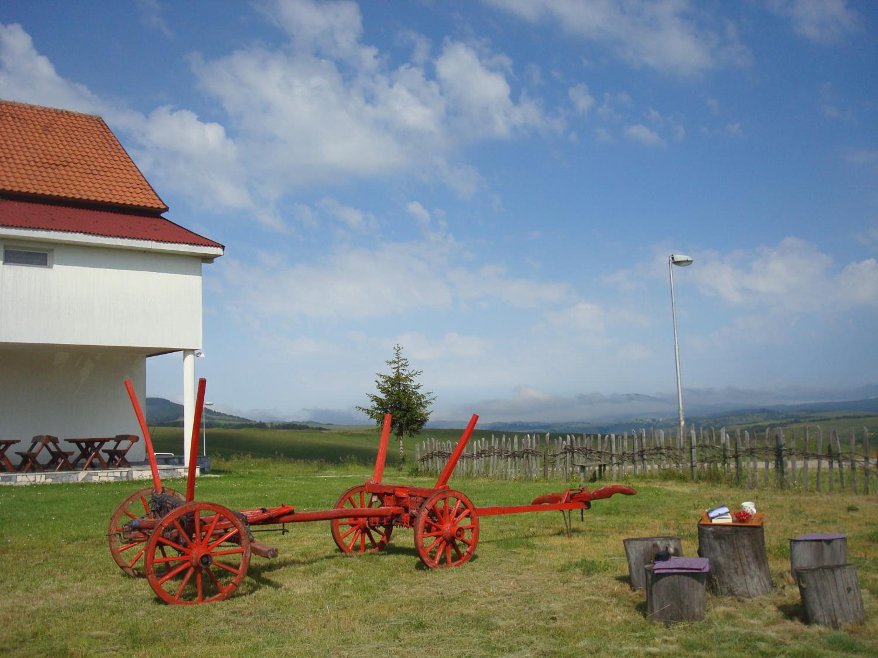 Photo 44