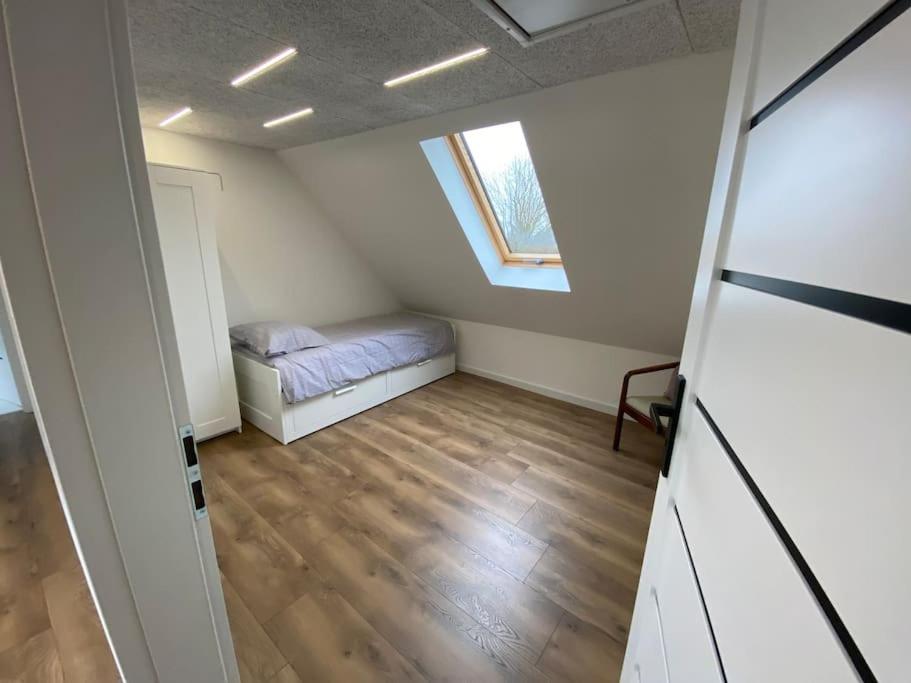 Sunny apartment