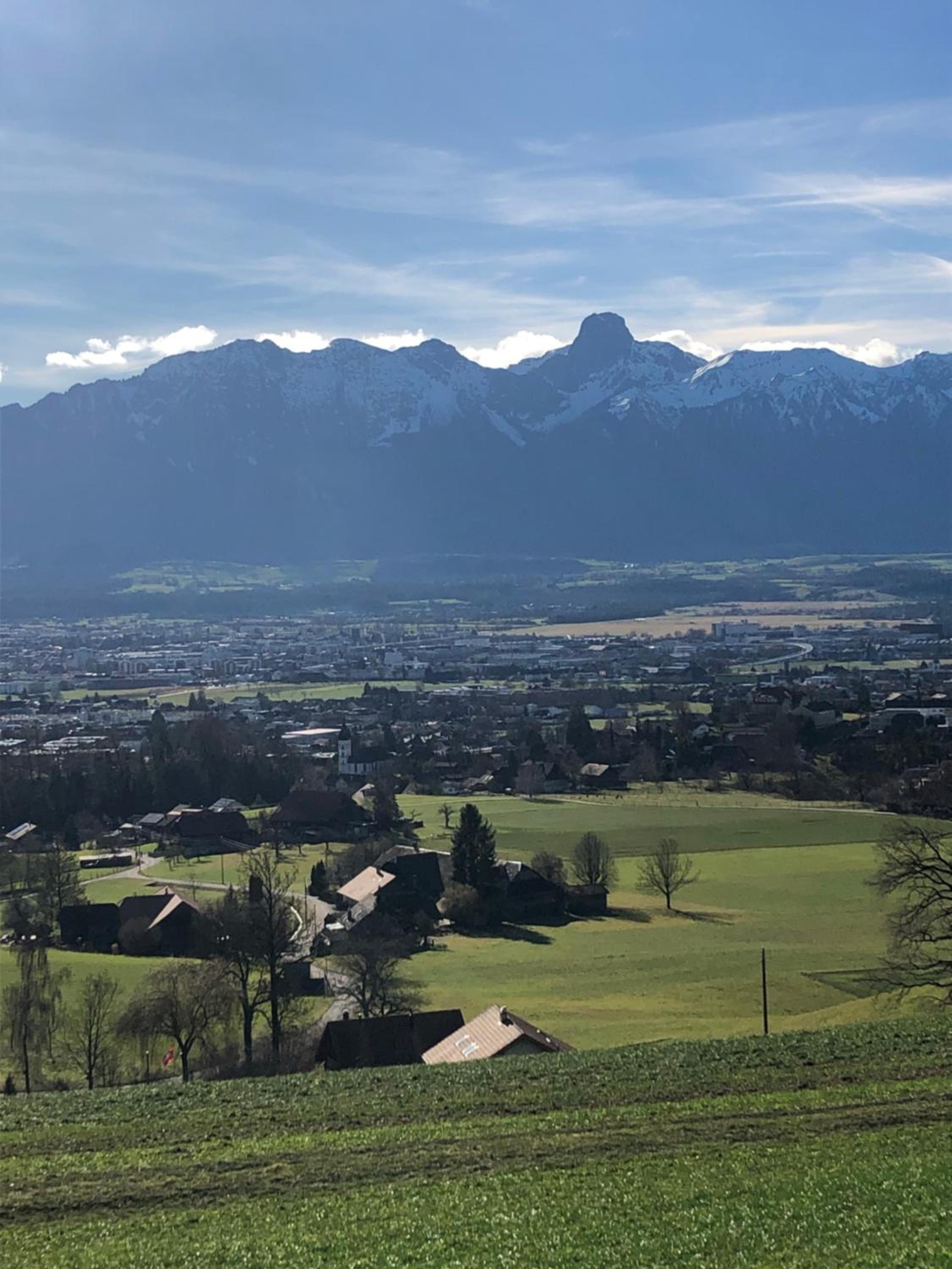 Bezauberndes Gartentiny