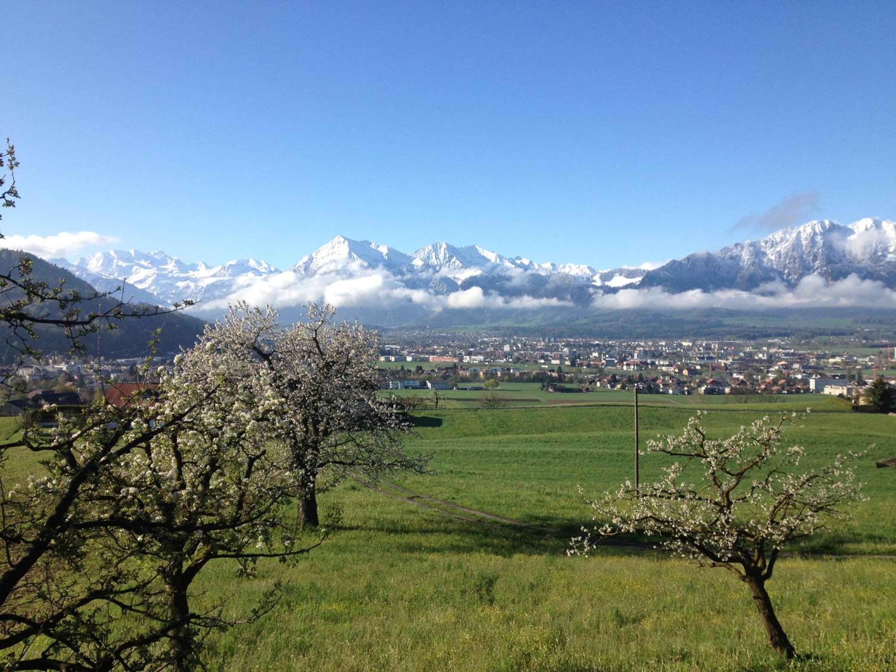 Bezauberndes Gartentiny