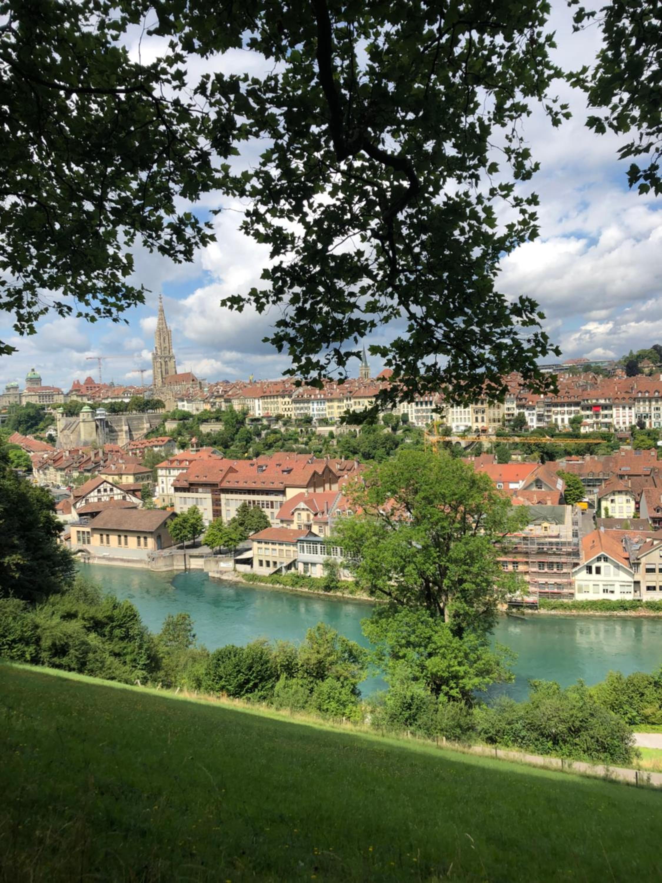 Bezauberndes Gartentiny