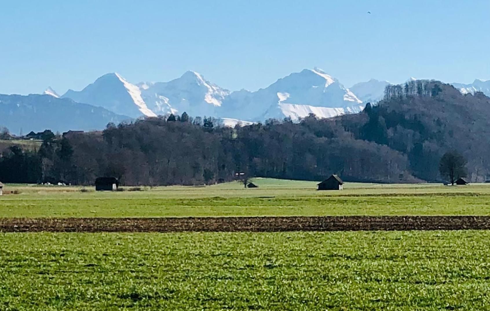 Bezauberndes Gartentiny