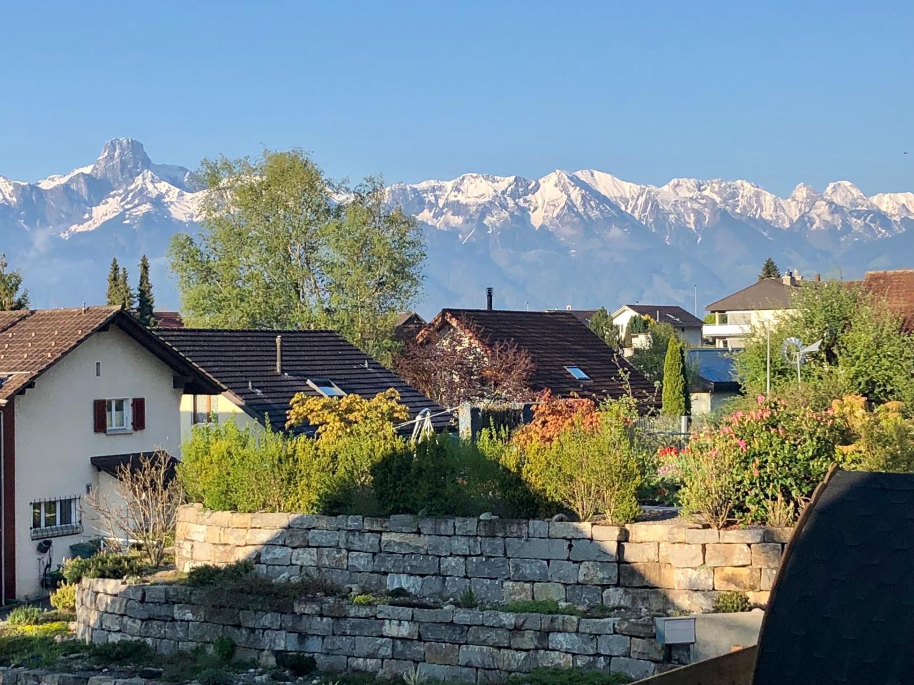 Bezauberndes Gartentiny
