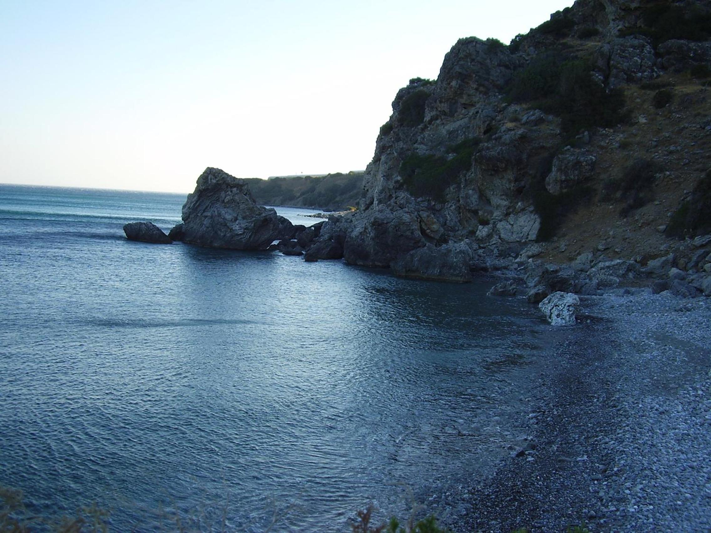 Photo 51