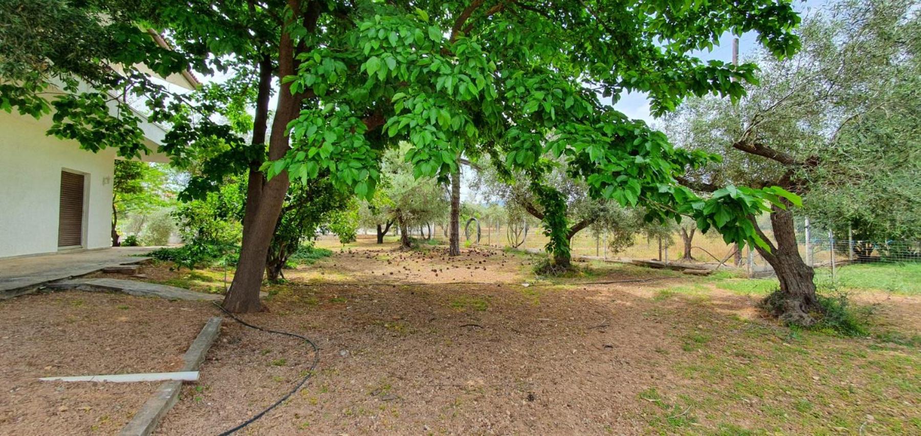 Villa Despina