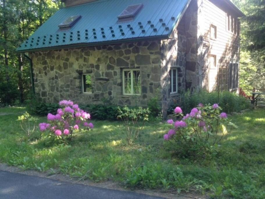 STREAMSIDE CABIN IN THE CATSKILLS
