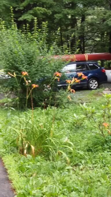 STREAMSIDE CABIN IN THE CATSKILLS
