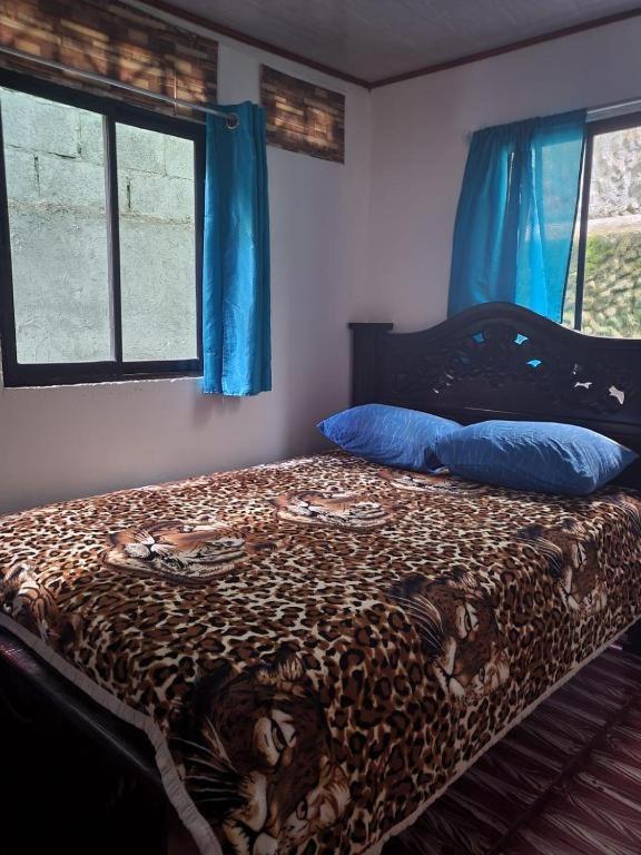 Downtown Montezuma Hostel
