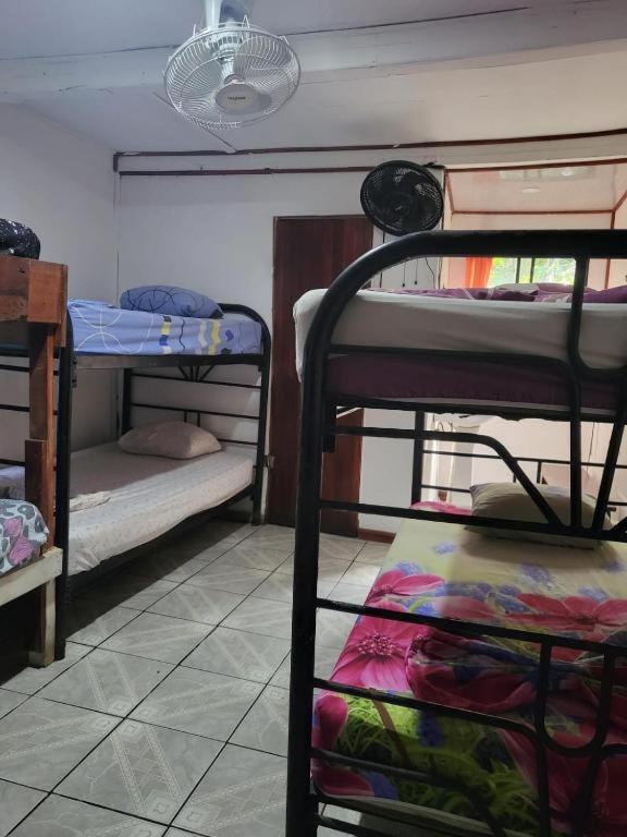 Downtown Montezuma Hostel