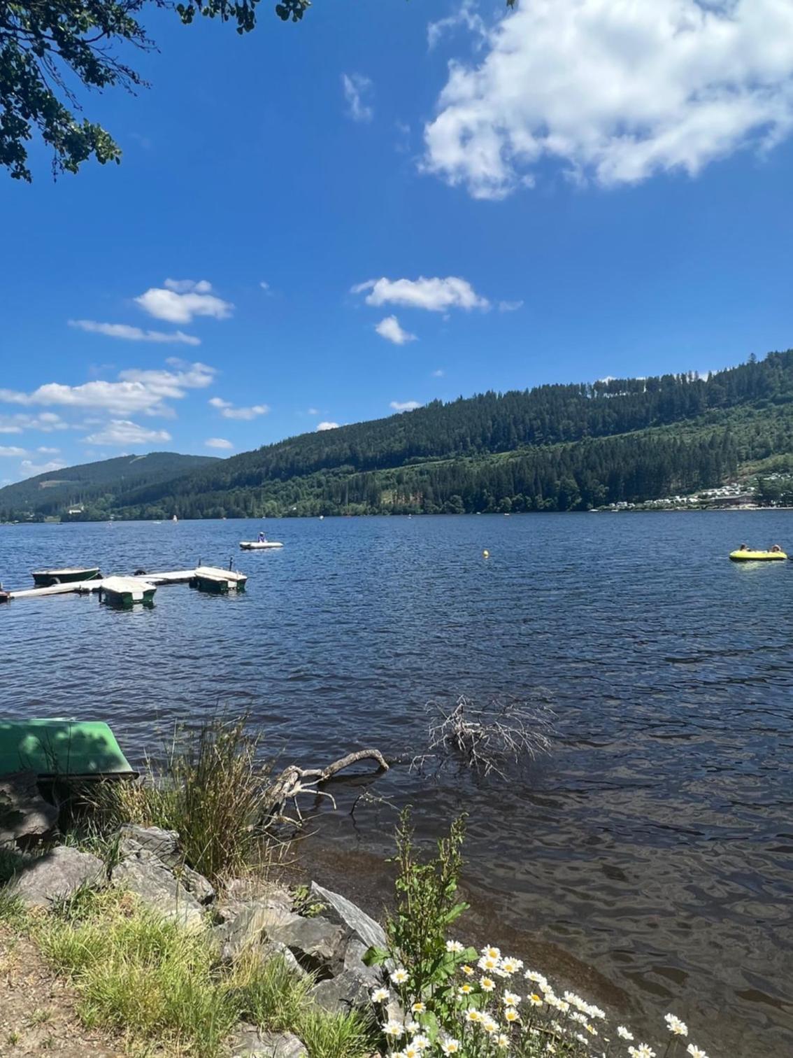 Ferienwohnung Traumwerk Titisee