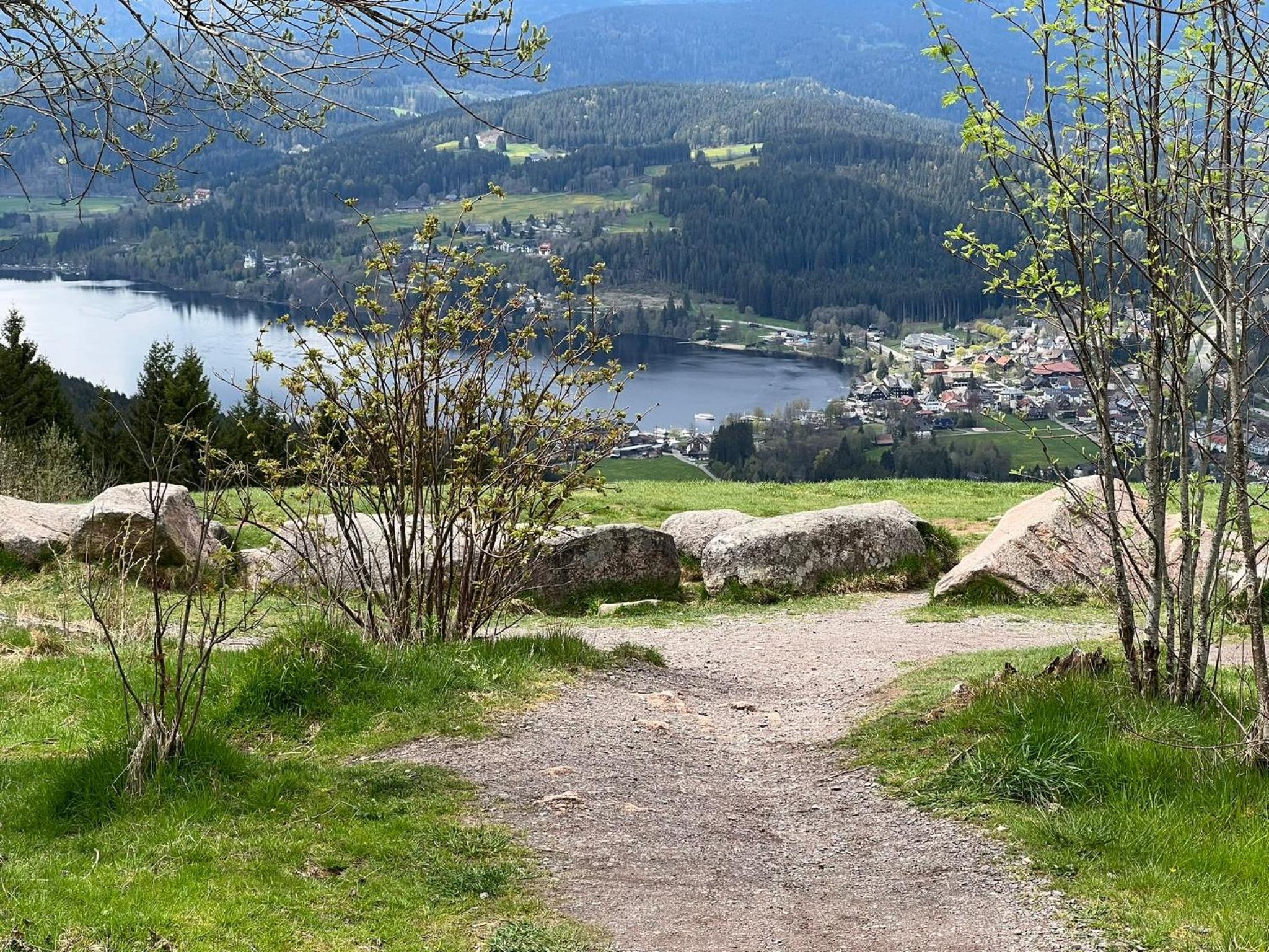 Ferienwohnung Traumwerk Titisee