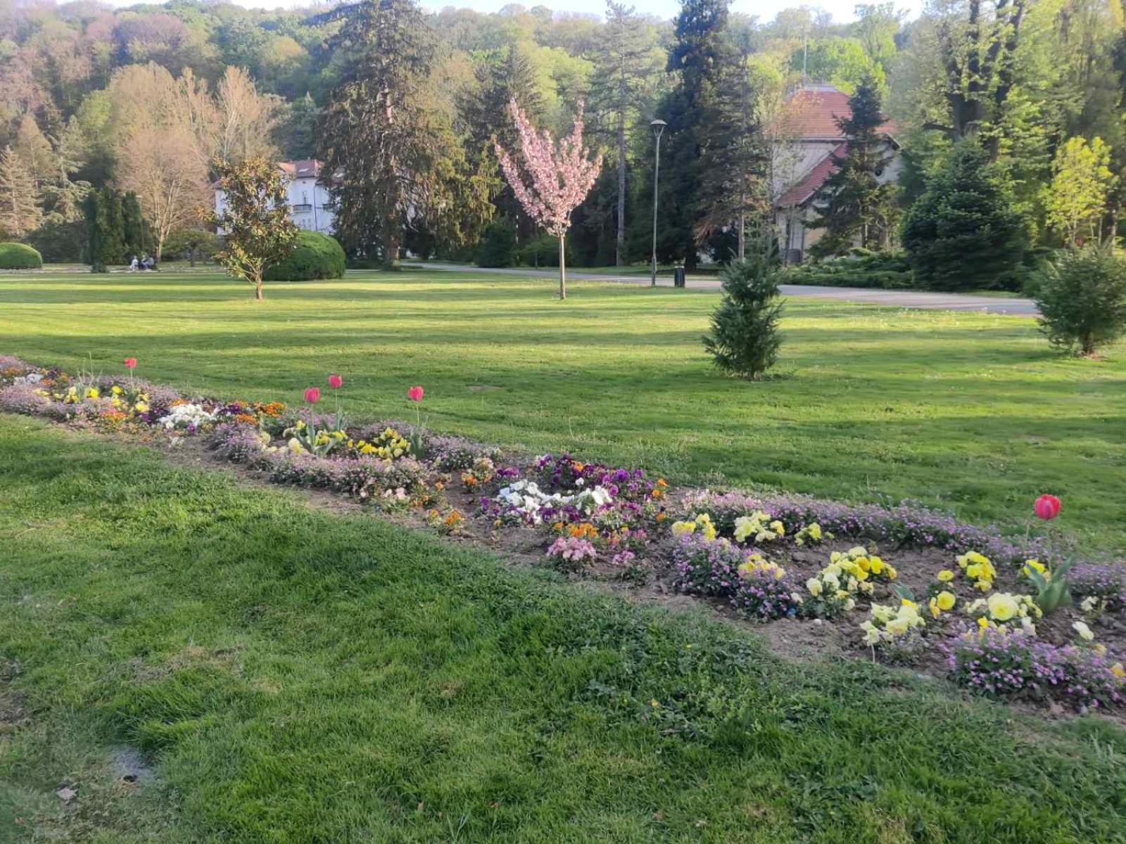 Apartman Sofija