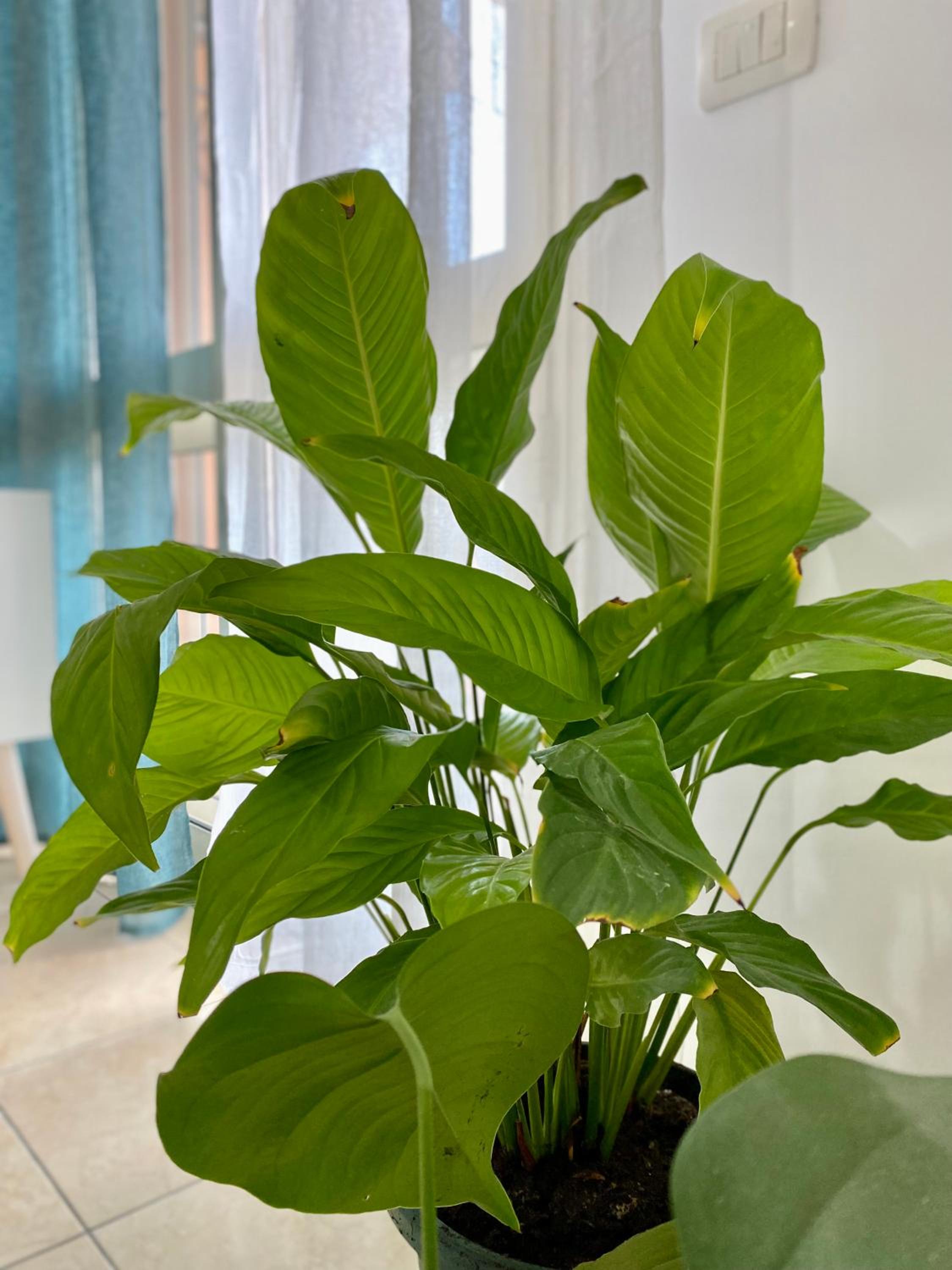 Kavaje Sea View Apartment