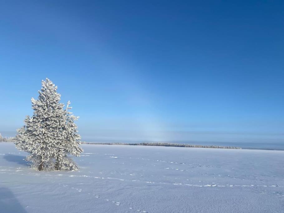 Simojärvi Lake House - 1h 20m from Rovaniemi City - Omakotitalo Simojärvellä