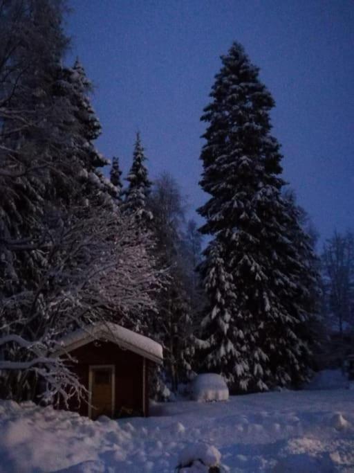Simojärvi Lake House - 1h 20m from Rovaniemi City - Omakotitalo Simojärvellä