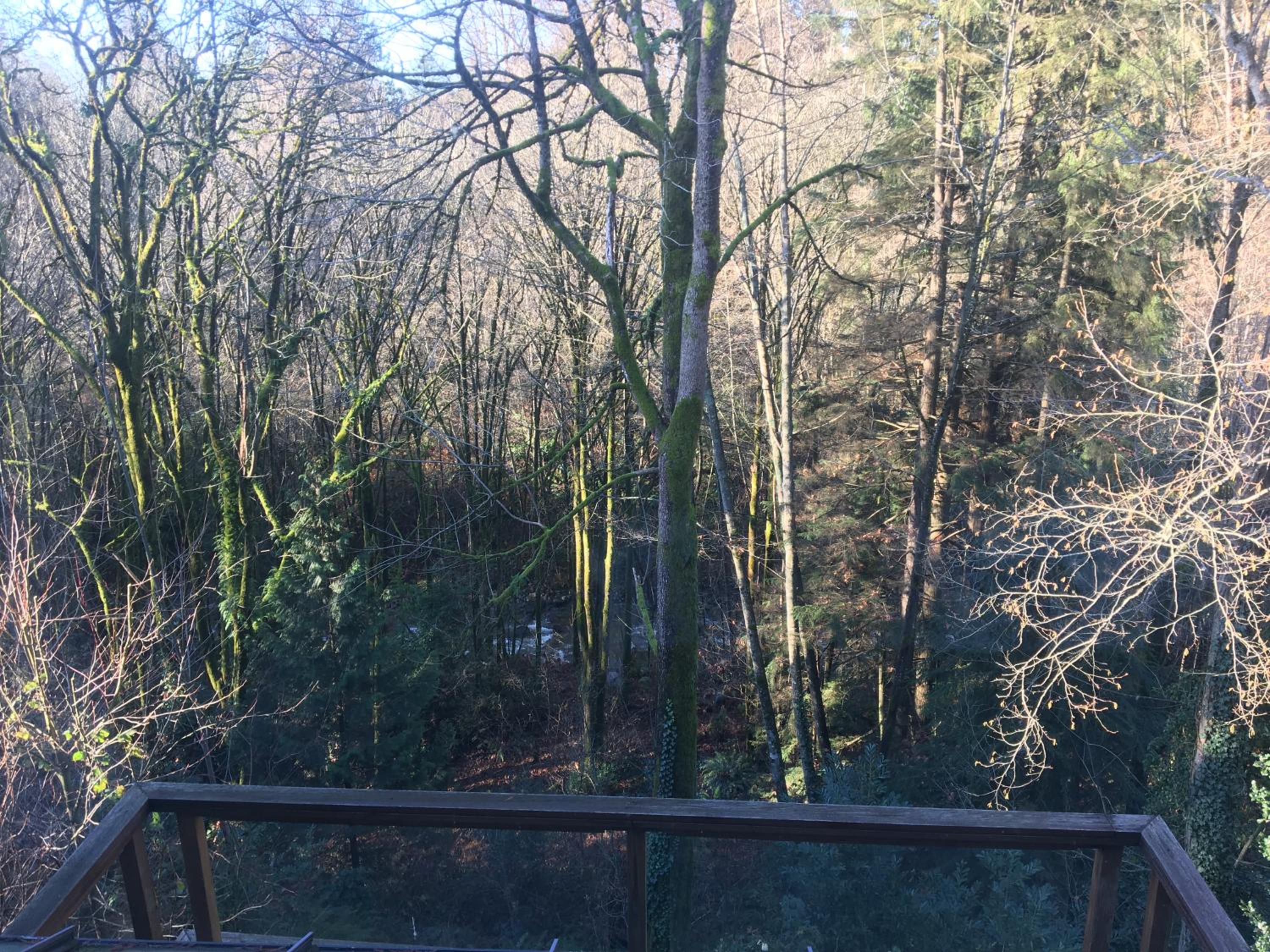 Creekside City Center suite