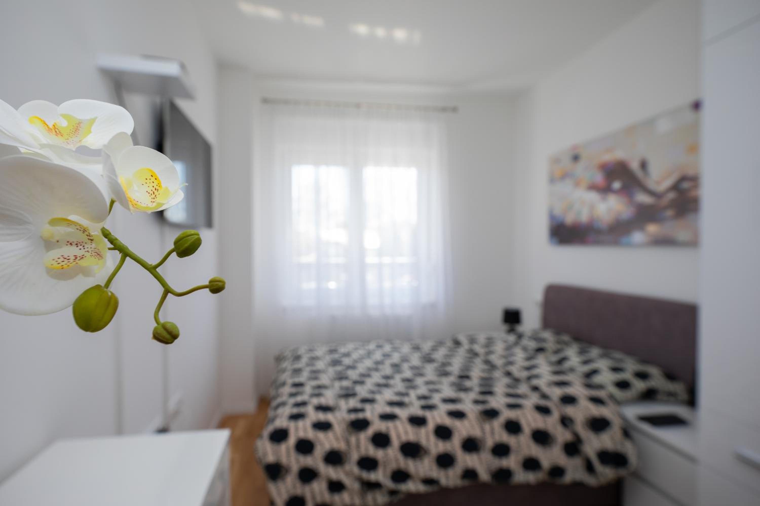 Apartman IVANA - private parking