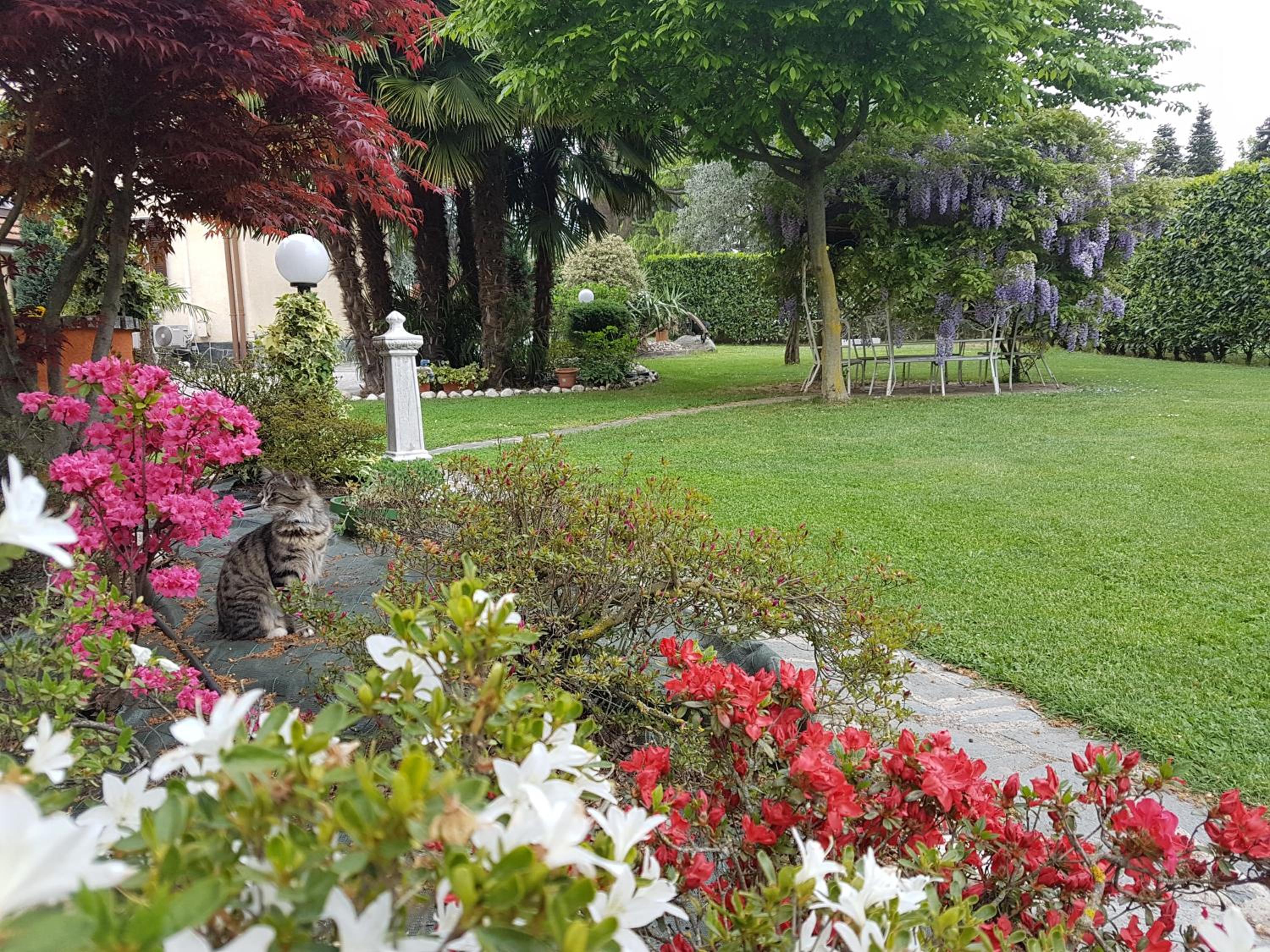 B&B Le Palme