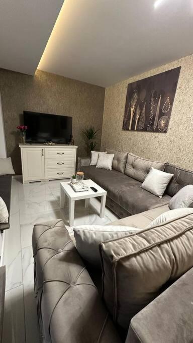 Apartman Little garden near Airport