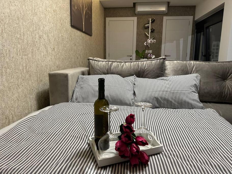 Apartman Little garden near Airport