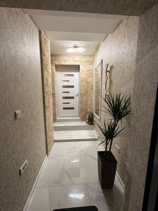 Apartman Little garden near Airport