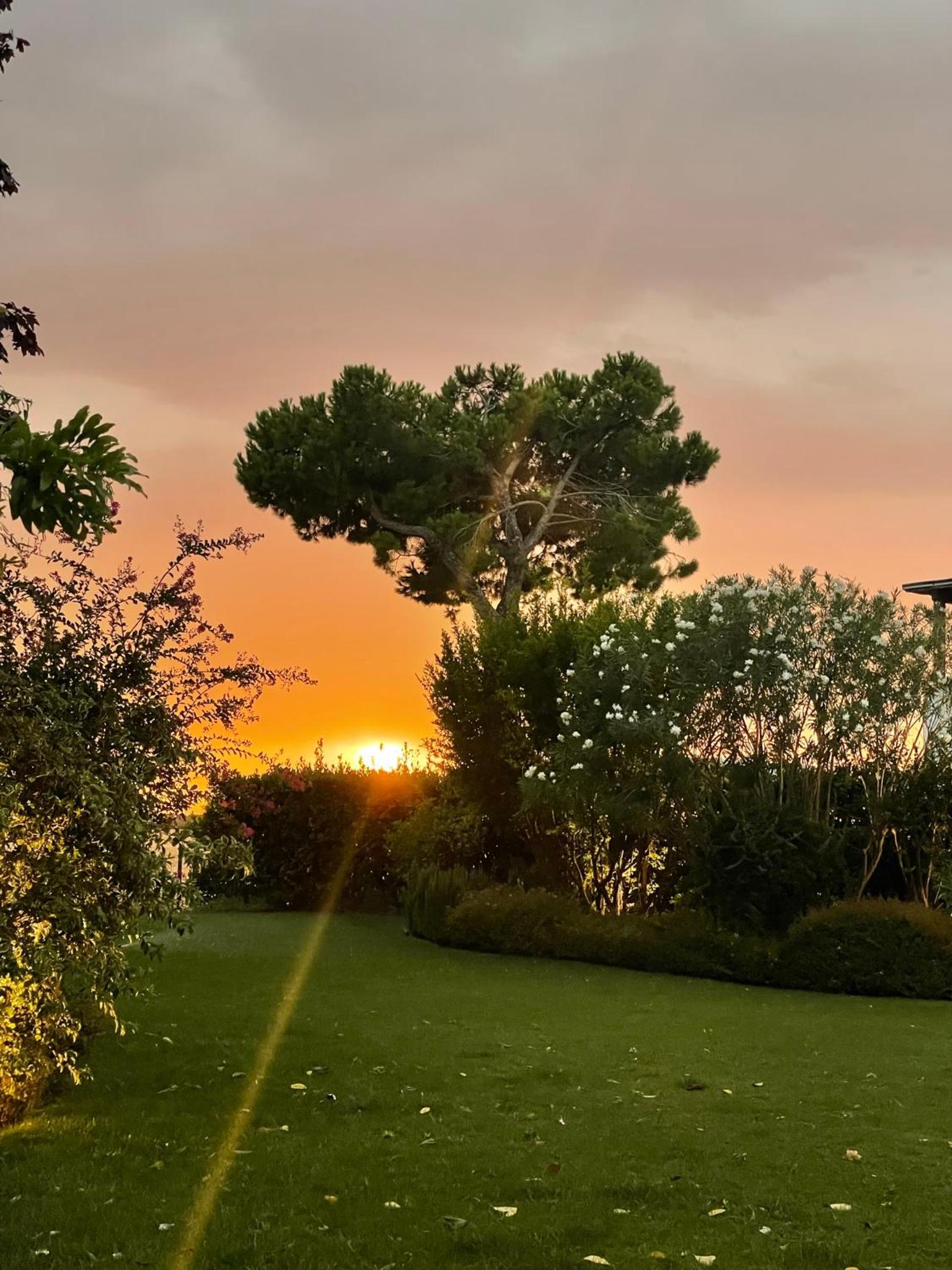 Albarella Family Villa with Private Pool and Garden view 2