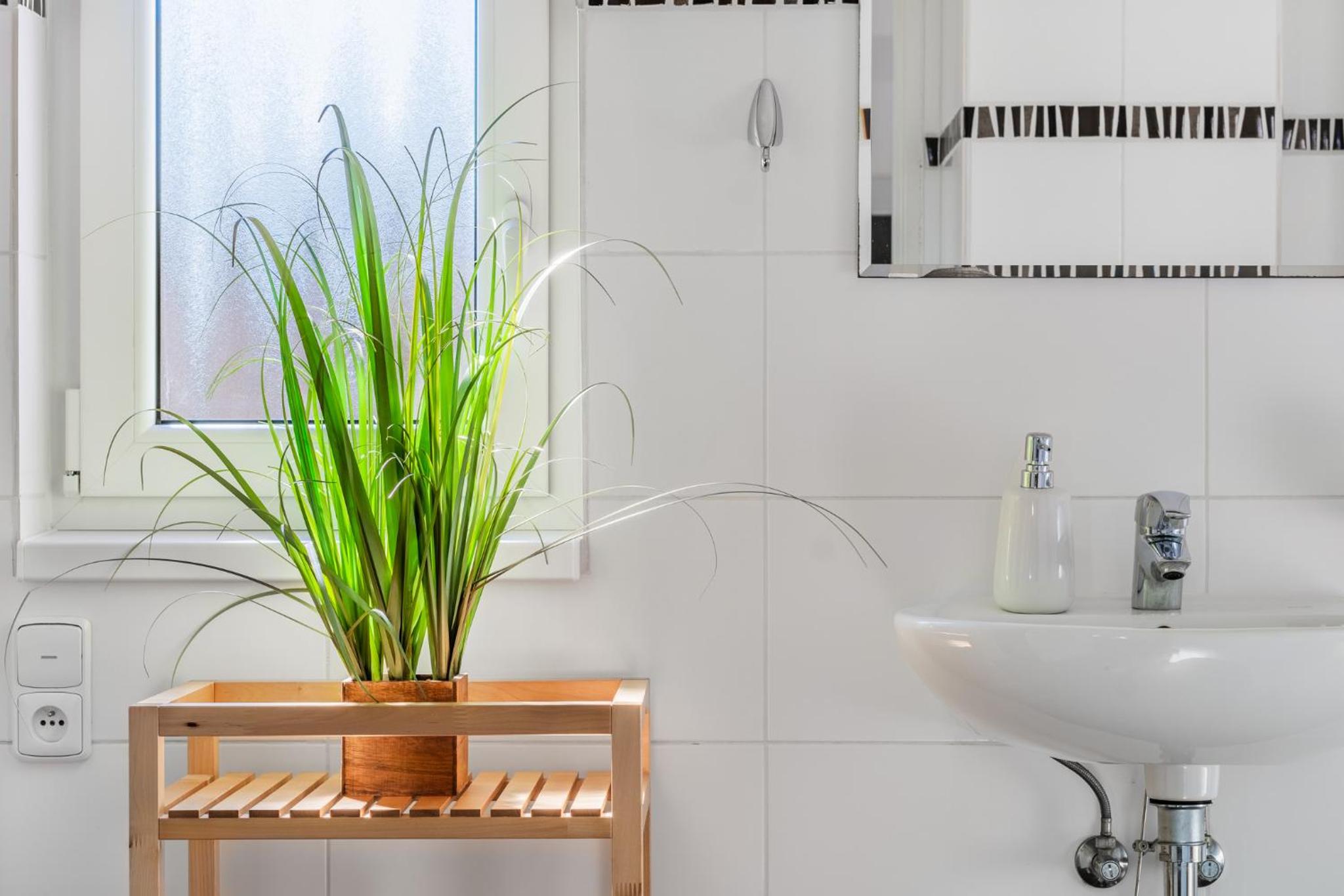 Apartmány Rozárka Turnov