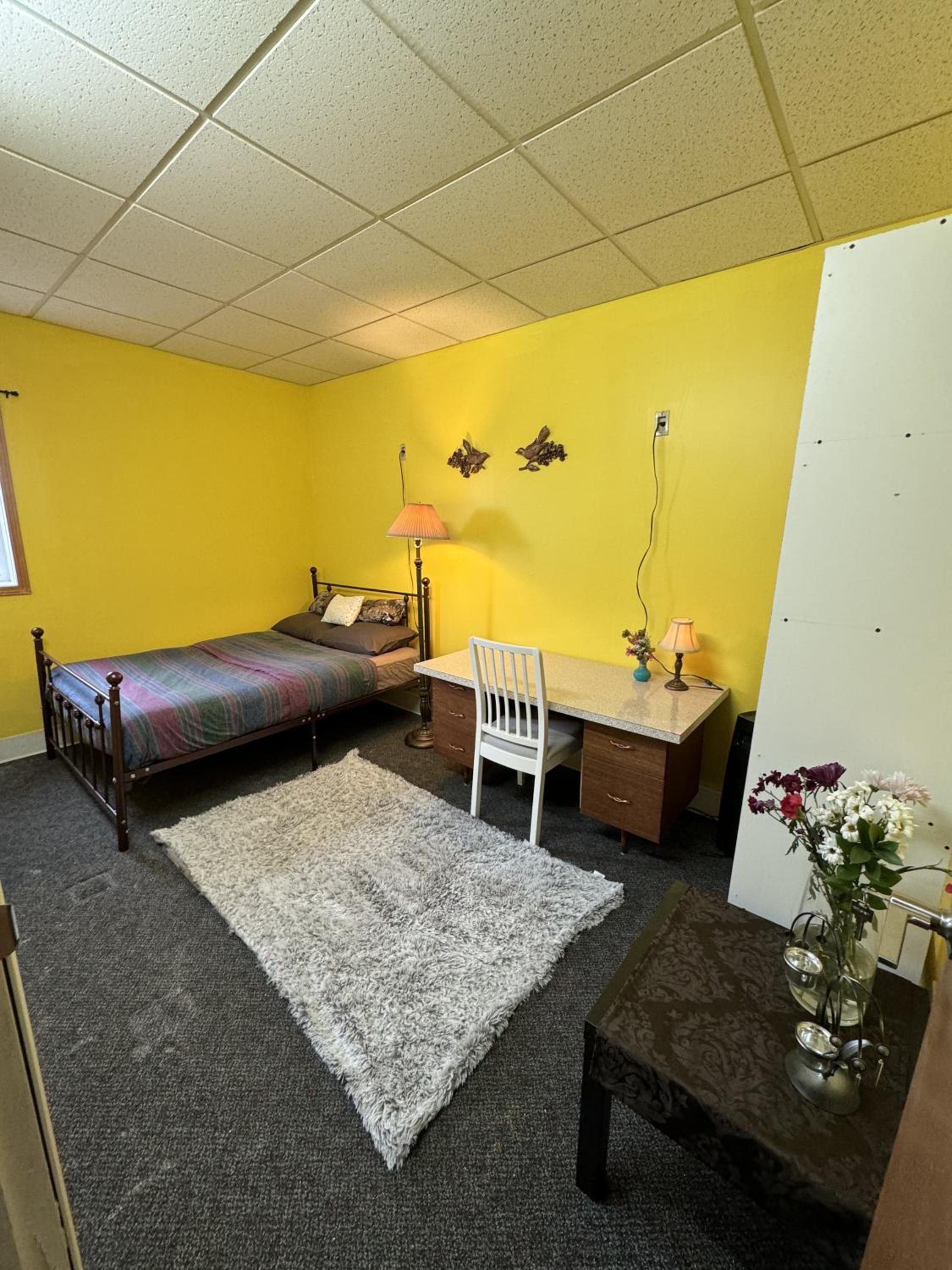 Miracle Comfy and Cozy rooms