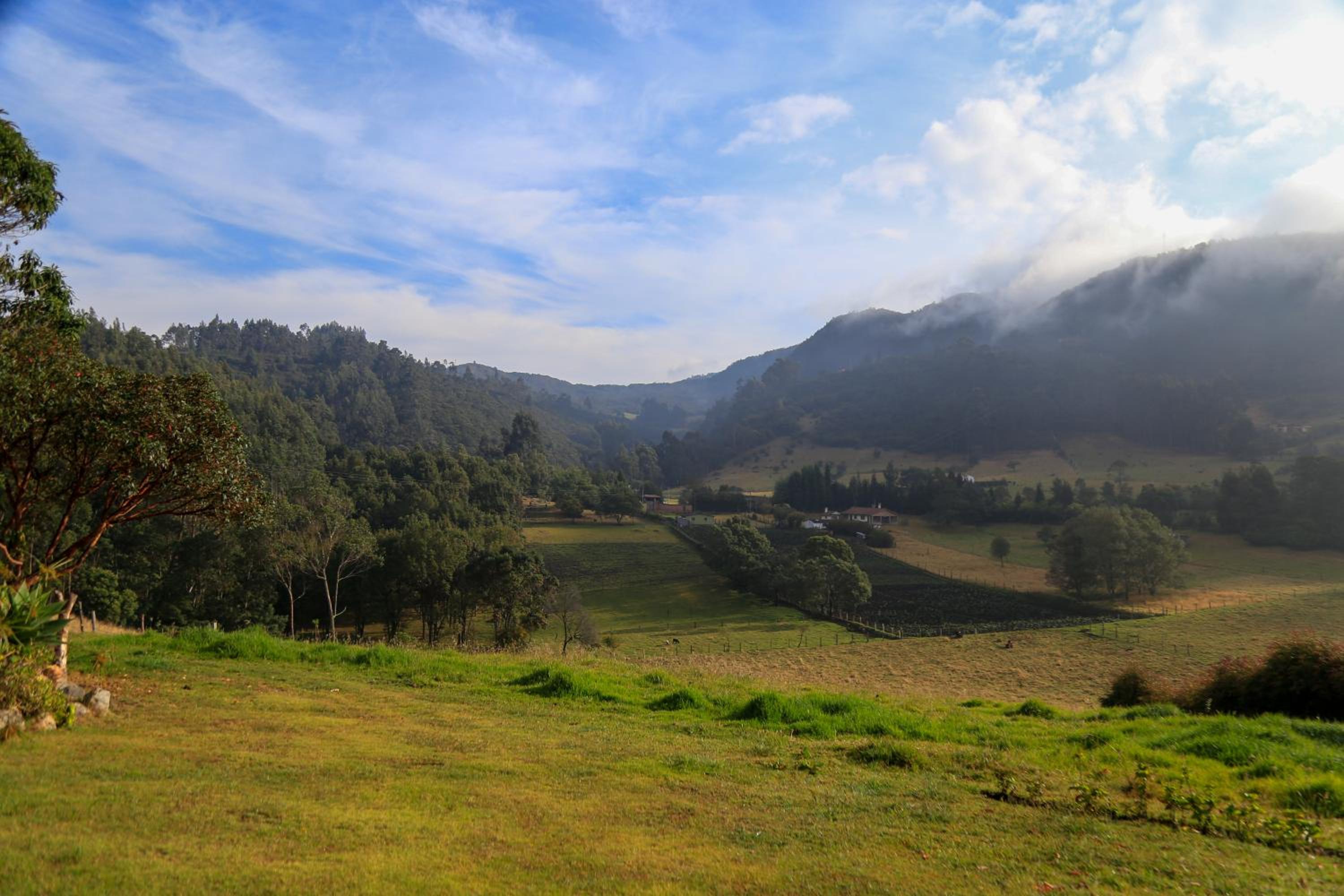 Casa de Campo en la Montaña Negra-Subachoque
