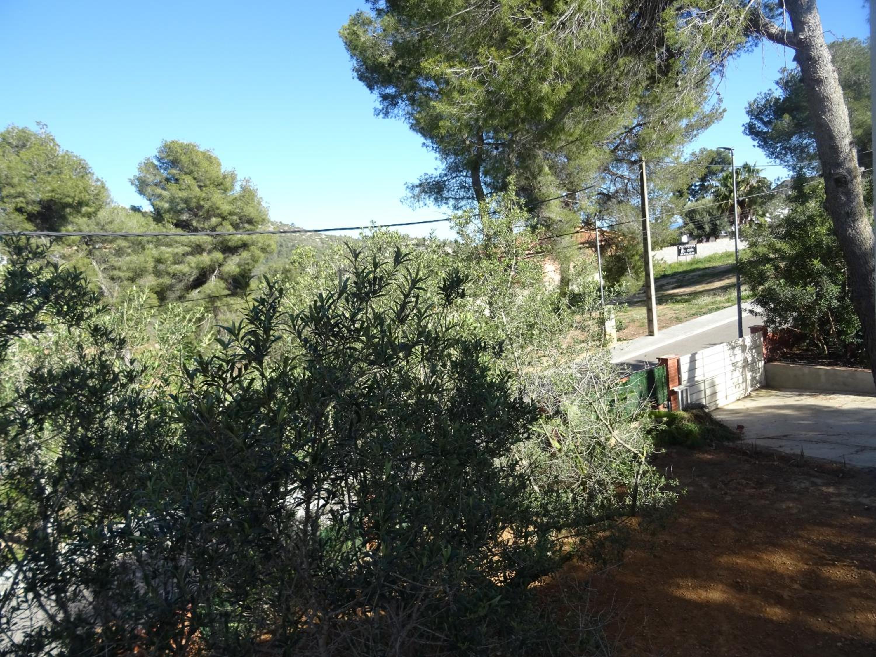 Casa Oliva