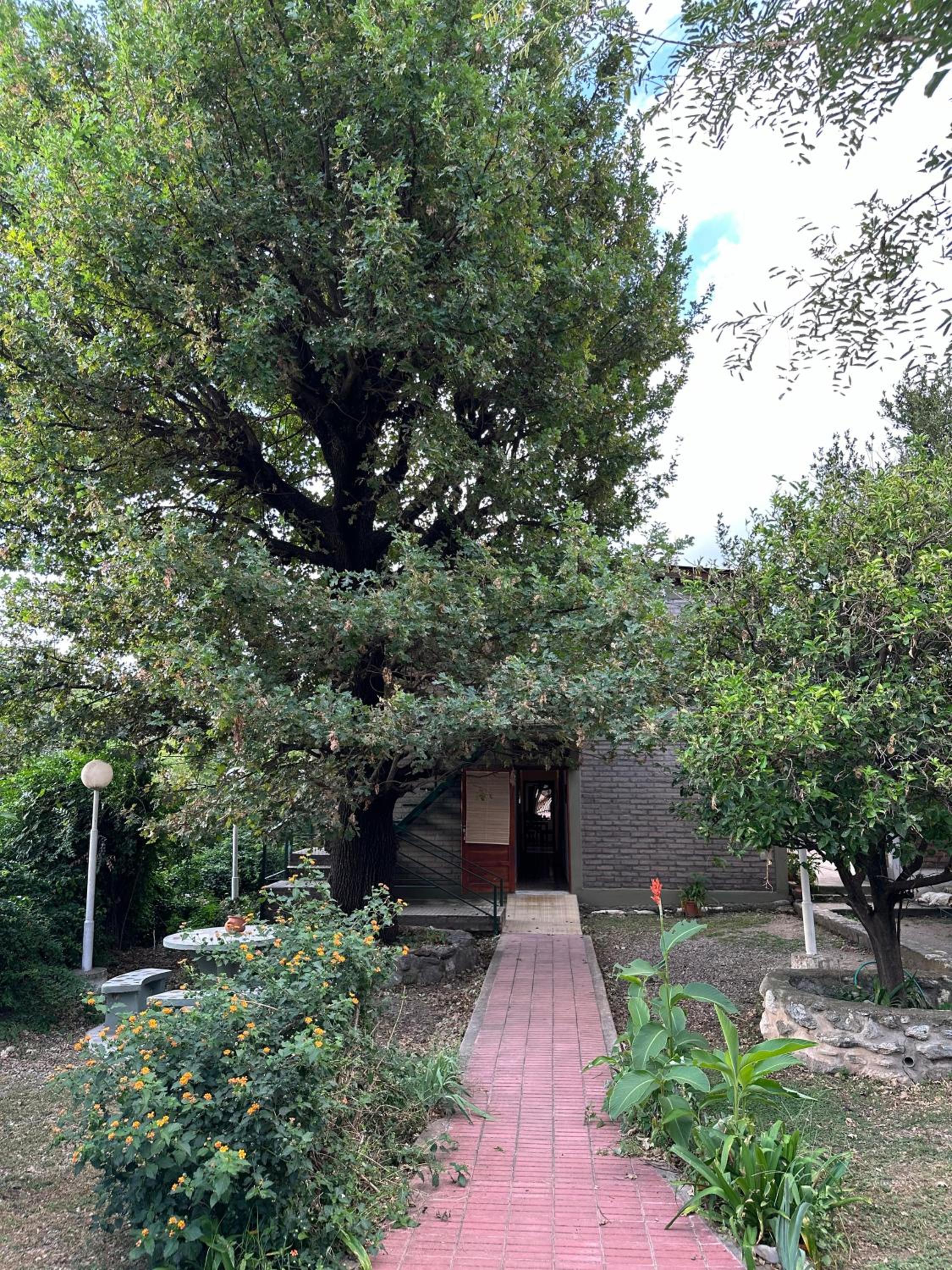 El Roble