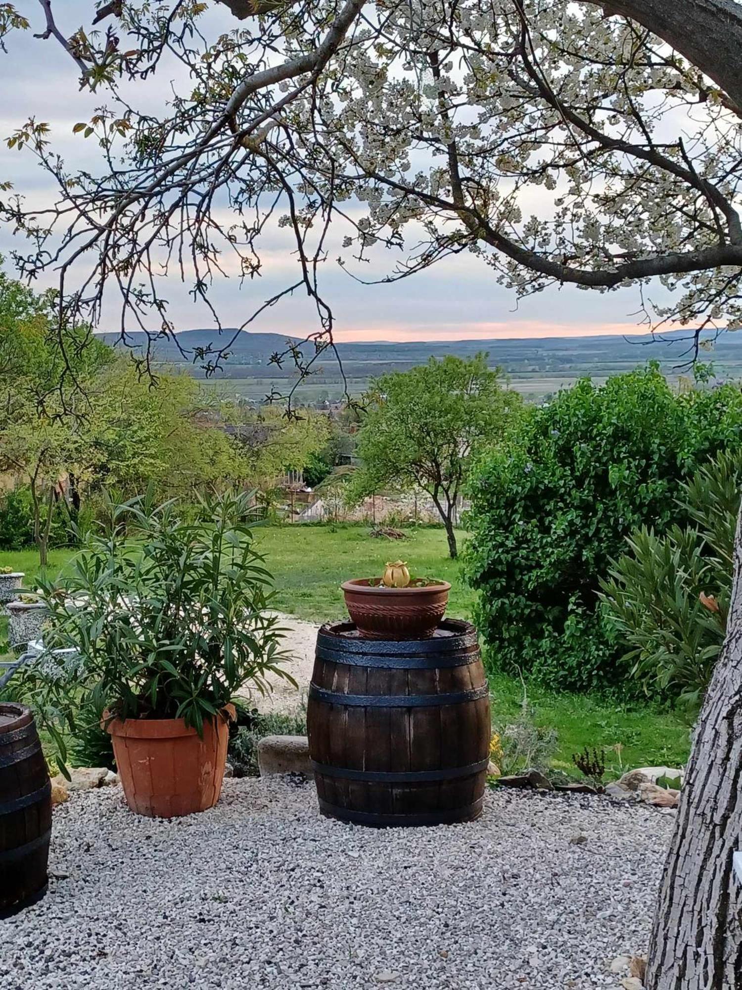 Varázskuckó Apartman