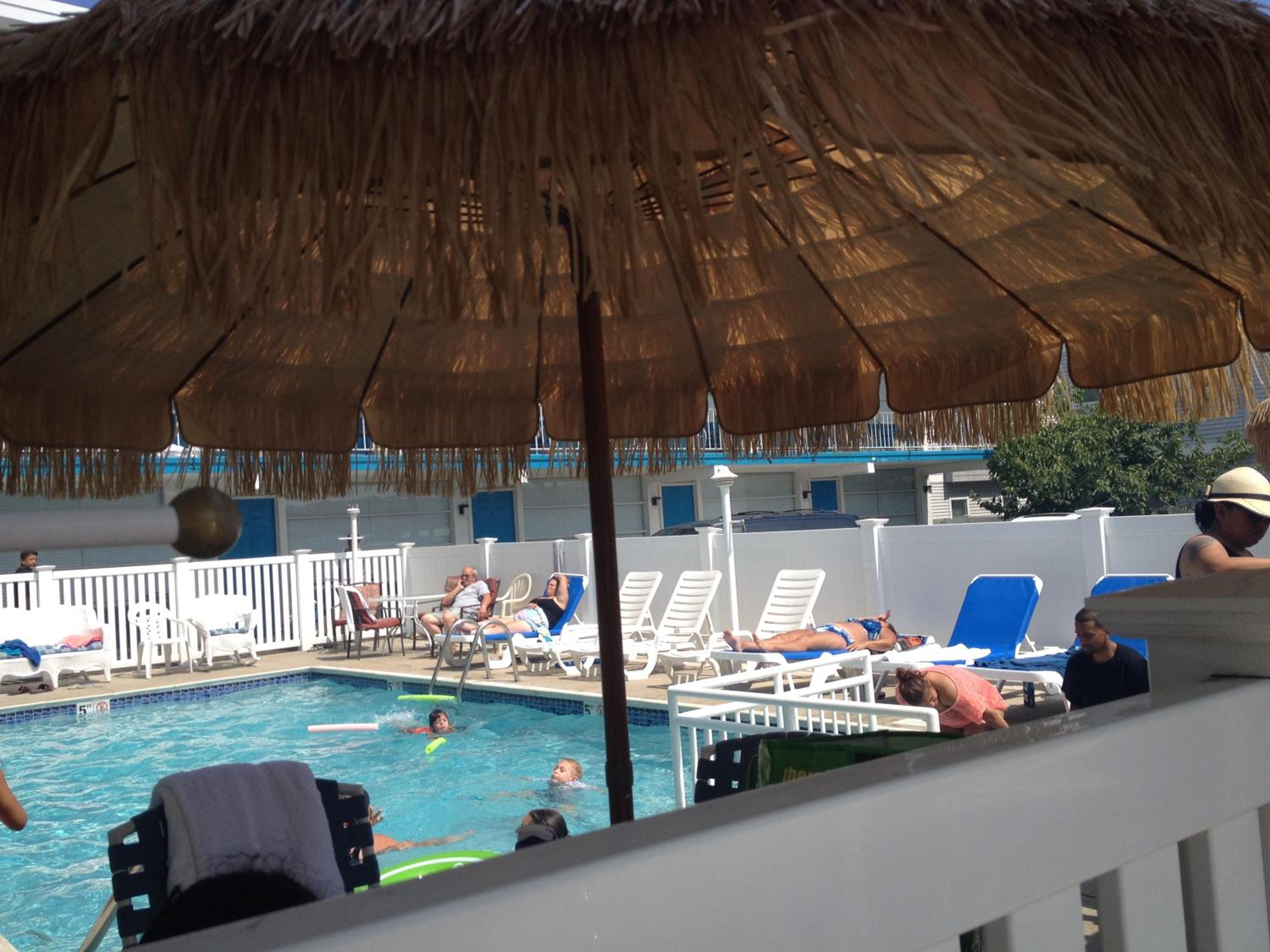 Bird of Paradise Motel