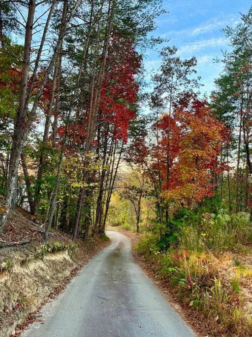 Harmony House - cozy, private mountain home, with firepit and pool table, located 10 minutes from Tryon Equestrian Center, Lake Lure, Local Wineries, and w view 5